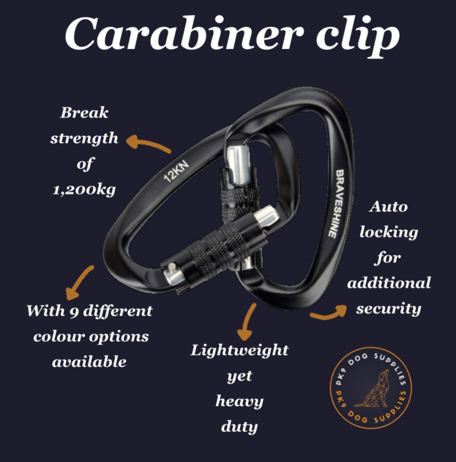 Carabiner upgrade