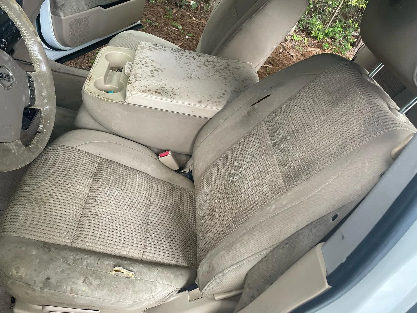 Mold removal on a trucks interior