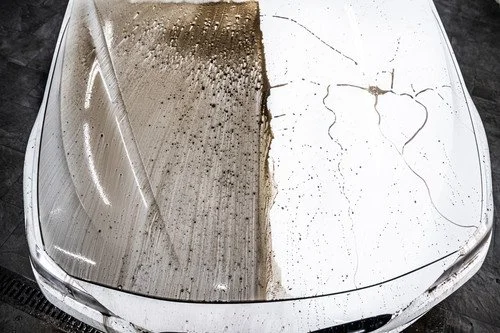 White car with a side by side comparison of a ceramic coated hood area and a non ceramic coated hood area