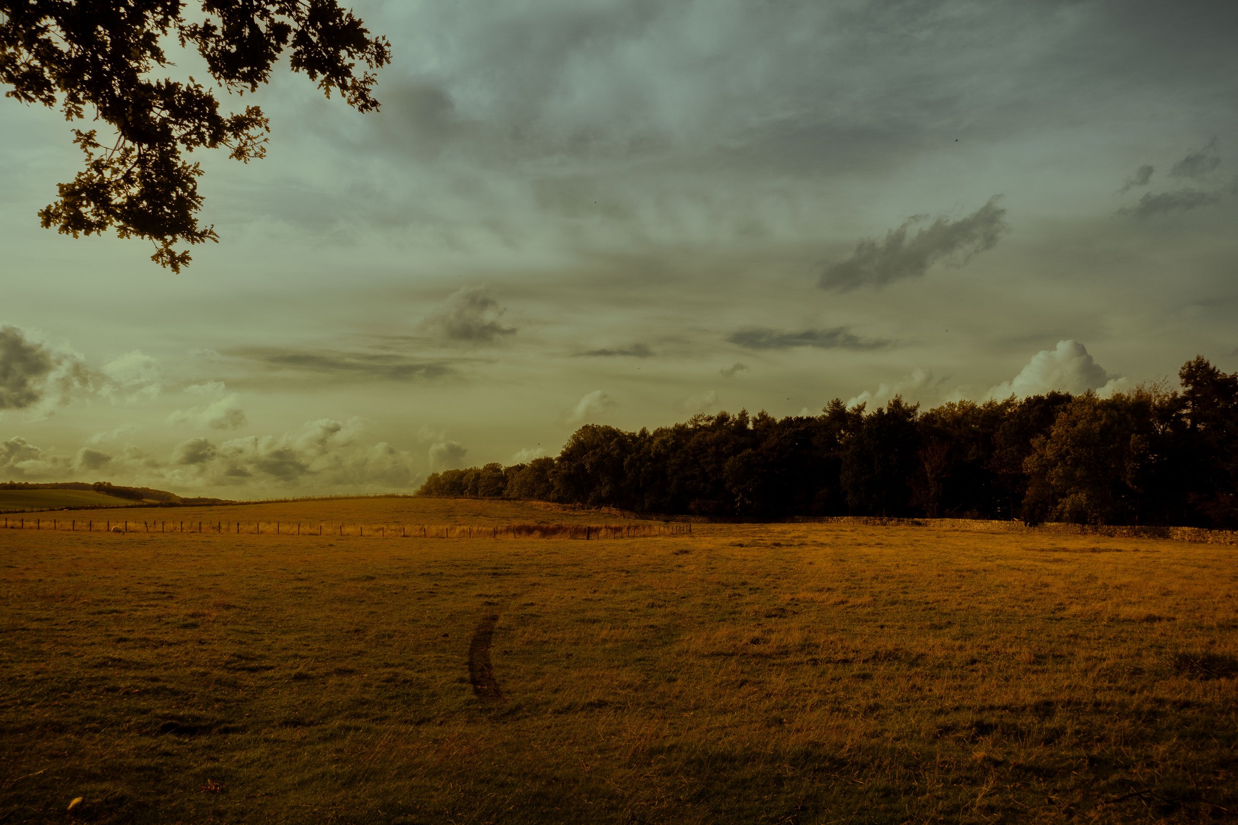 _DSC2706.jpg