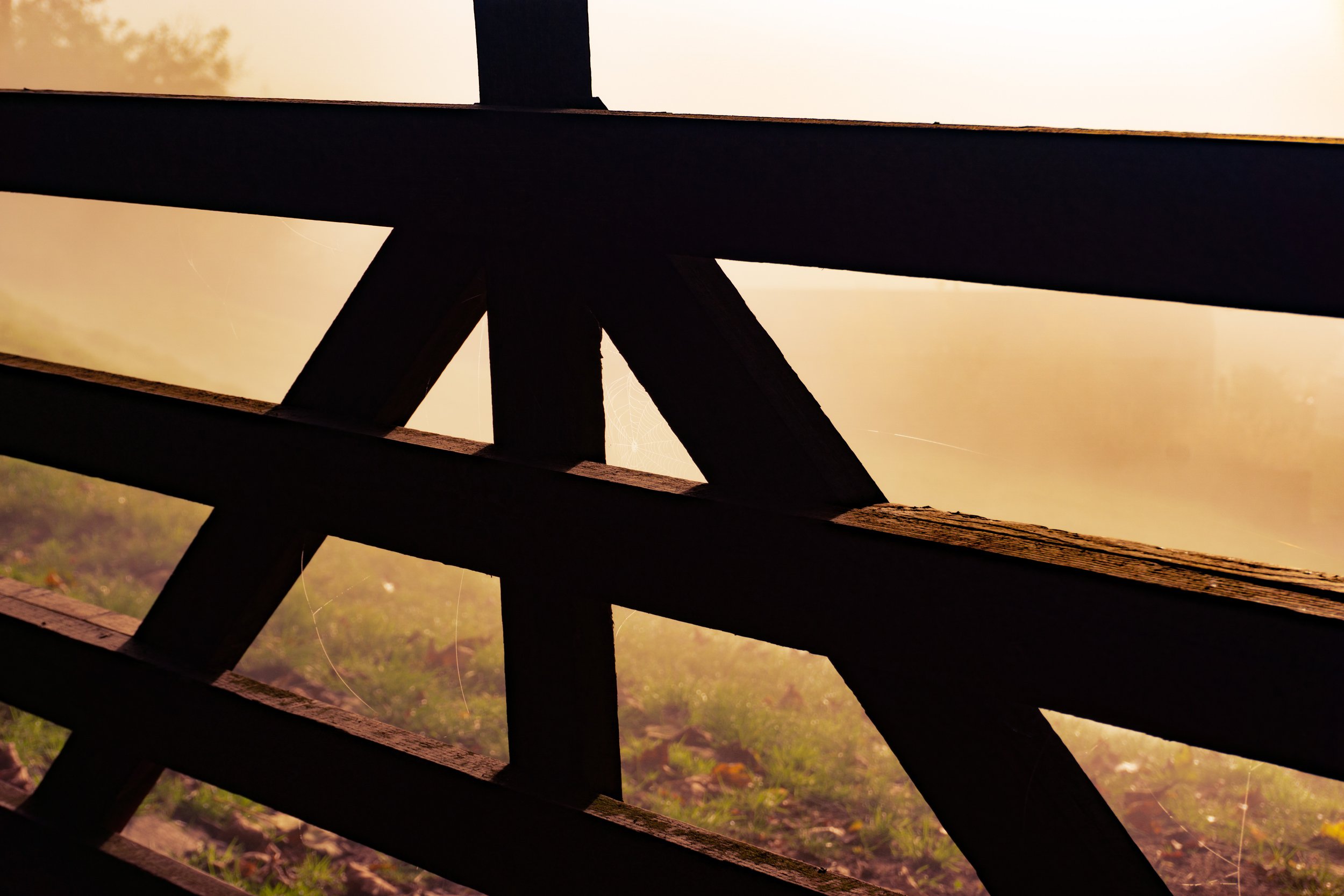 _DSC2831_EDITED.jpg