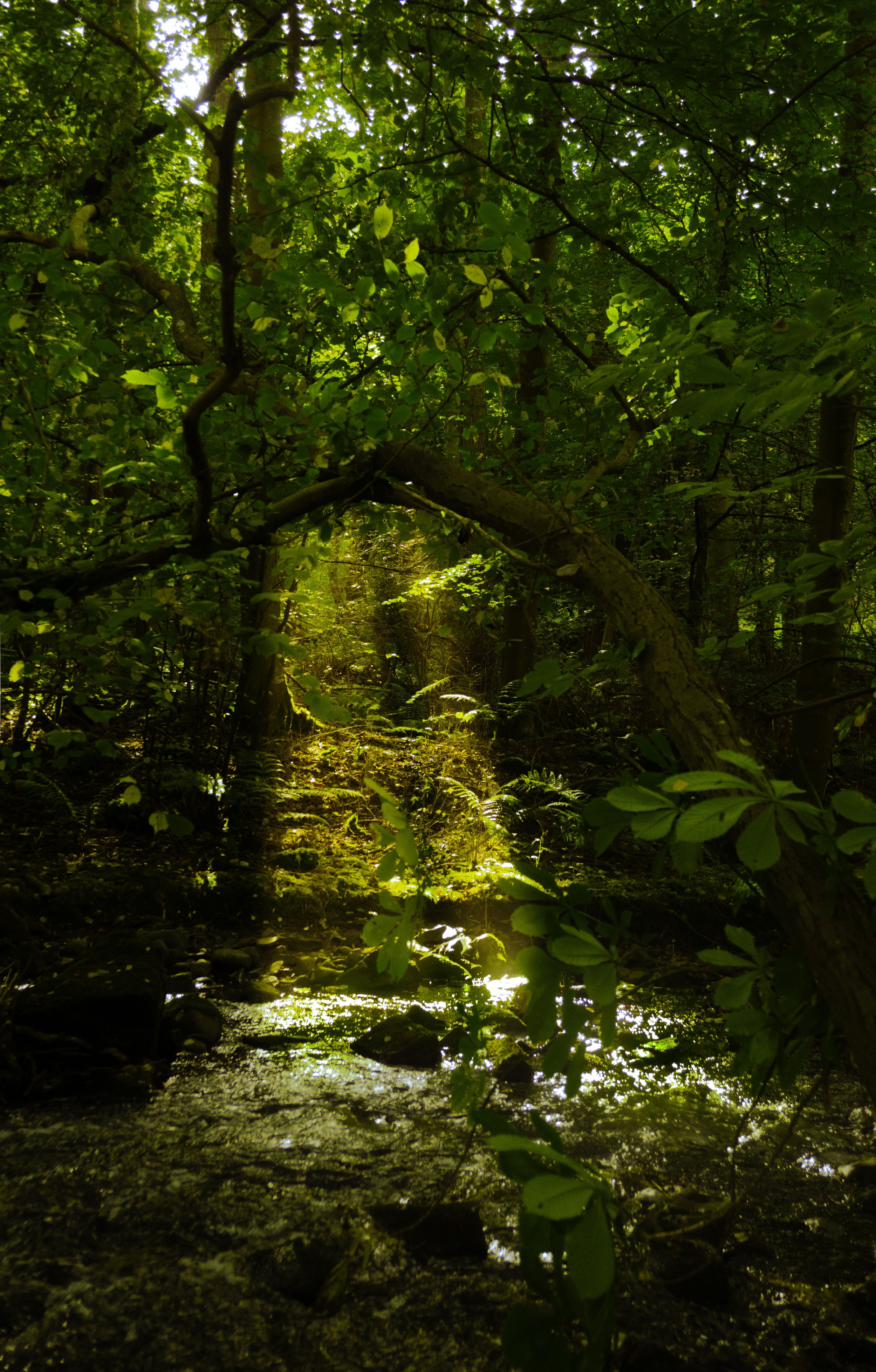 magic river beam 2.jpg