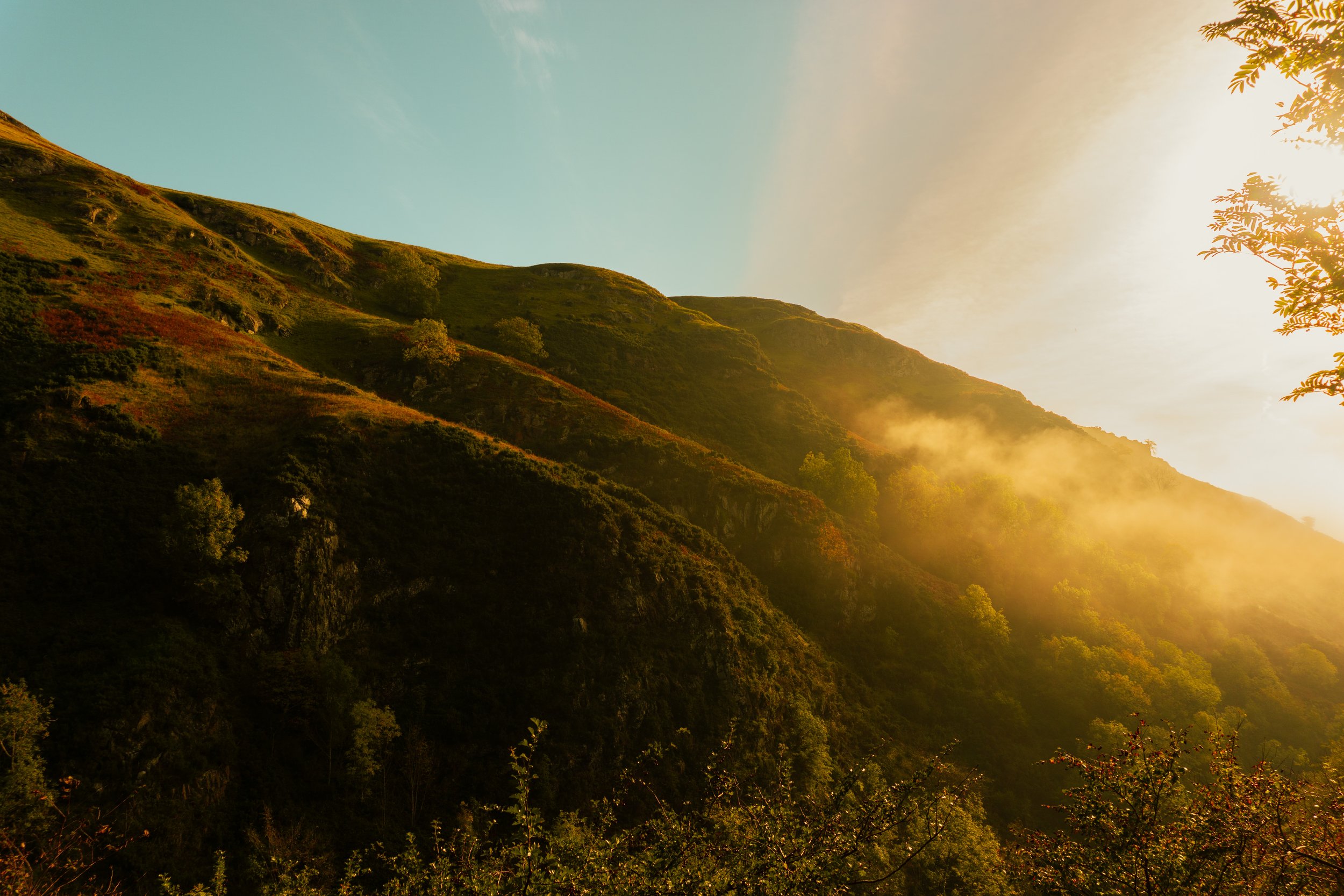 _DSC2896_EDITED.jpg