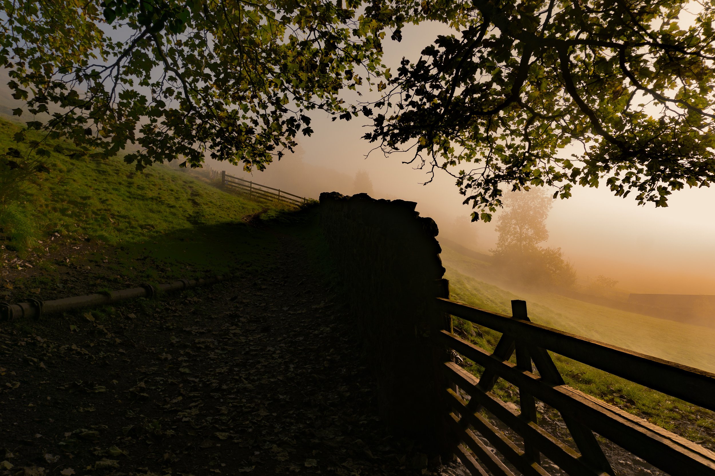 _DSC2828_EDITED.jpg