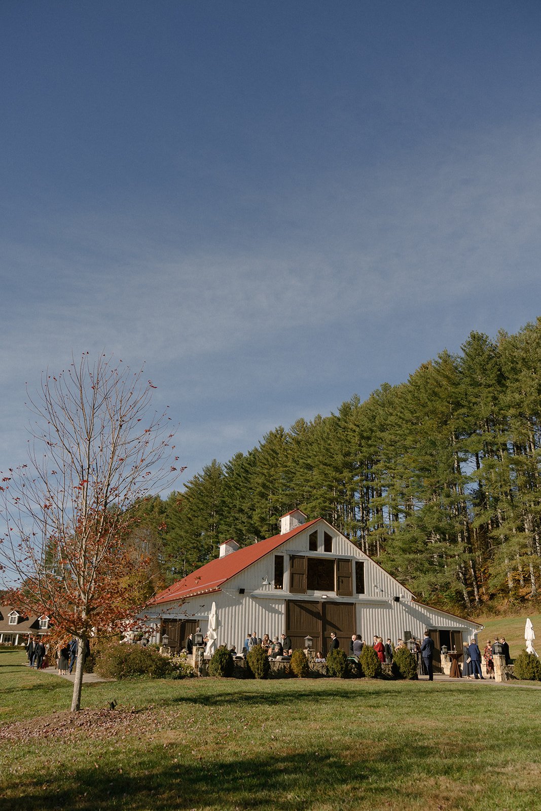 West-Jefferson-NC-Mountain-Wedding-Photographer-0880.jpg