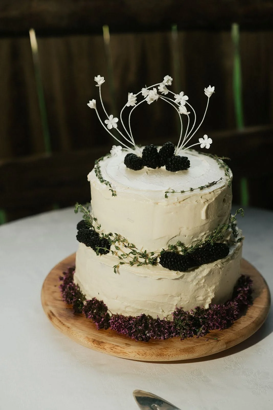 North-Carolina-Boone-Intimate-Mountain-Wedding-103_websize.jpg