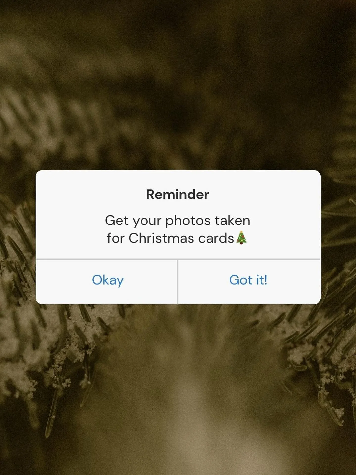 REMINDER🫶🏻 Make sure to get your Christmas card photos taken🎄 Dm for more info or to book your Christmas mini session🥰 
.
#newborn #newbornphotography #newbornphotographer #oshawaphotographer #durhamregionphotographer #familyphotographer #family 