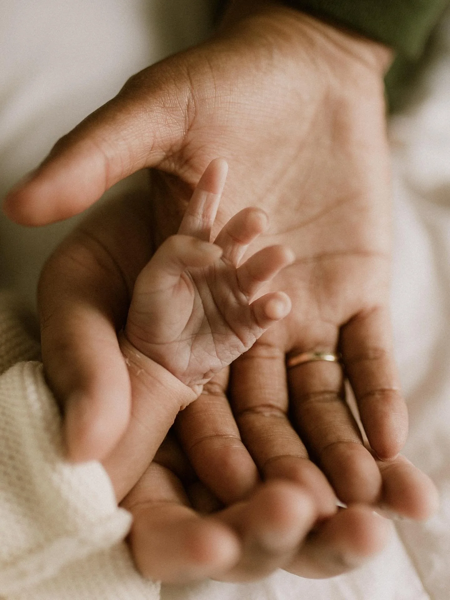 Get 30% off any session🍁🍂 Offer VALID until Nov. 1! Dm me for more info or to book your newborn, family, or maternity session🥰
*Excludes Christmas mini sessions. Session is good for use for one year from date of purchase.*
.
#newborn #newbornphoto