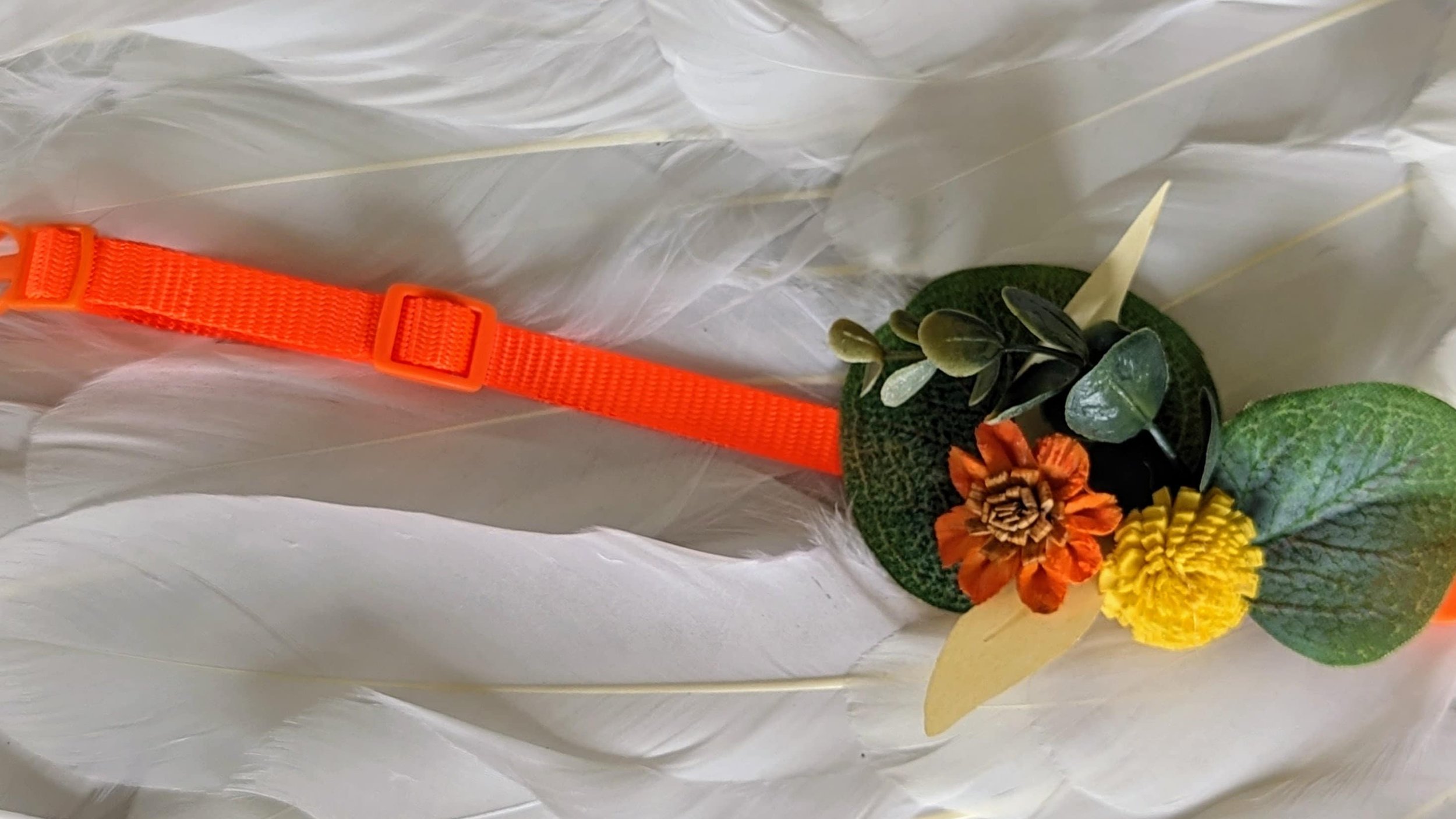 https://i.etsystatic.com/19083489/r/il/1bcd8f/5369357477/il_fullxfull.5369357477_tn9v.jpg