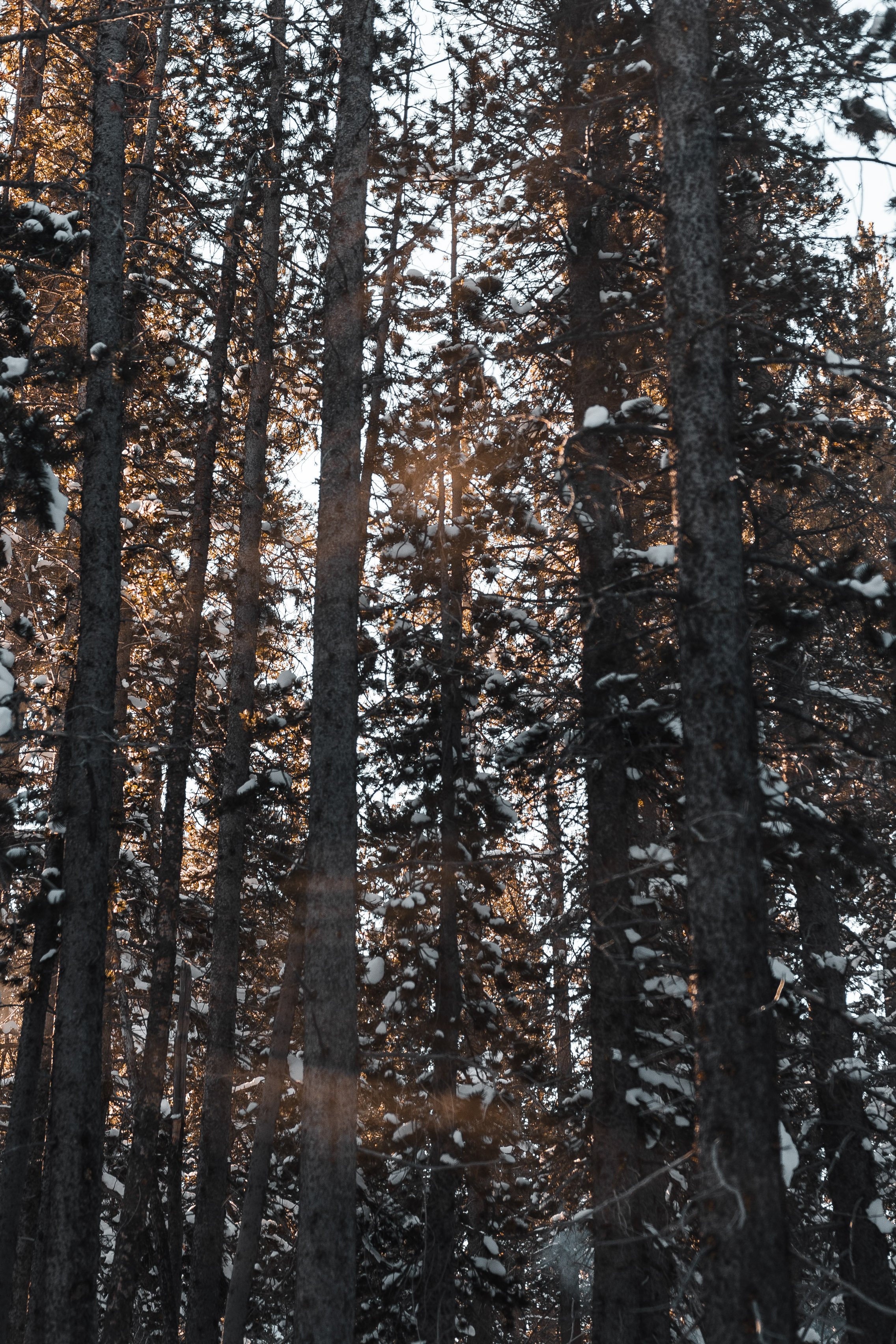 R6__7640.jpg