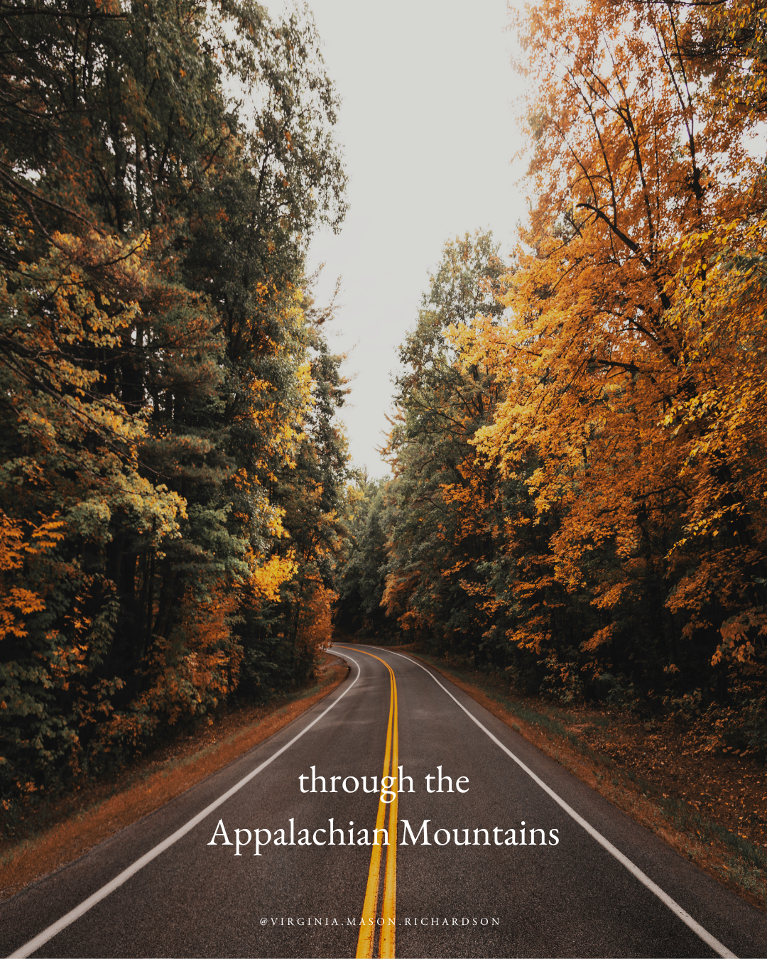 Image of a road winding through the mountains in the fall (Copy) (Copy)
