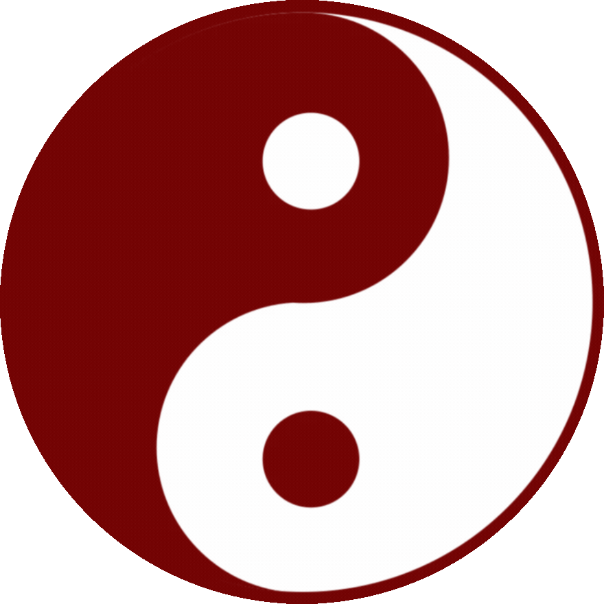 a yin yang symbol spins like a wheel