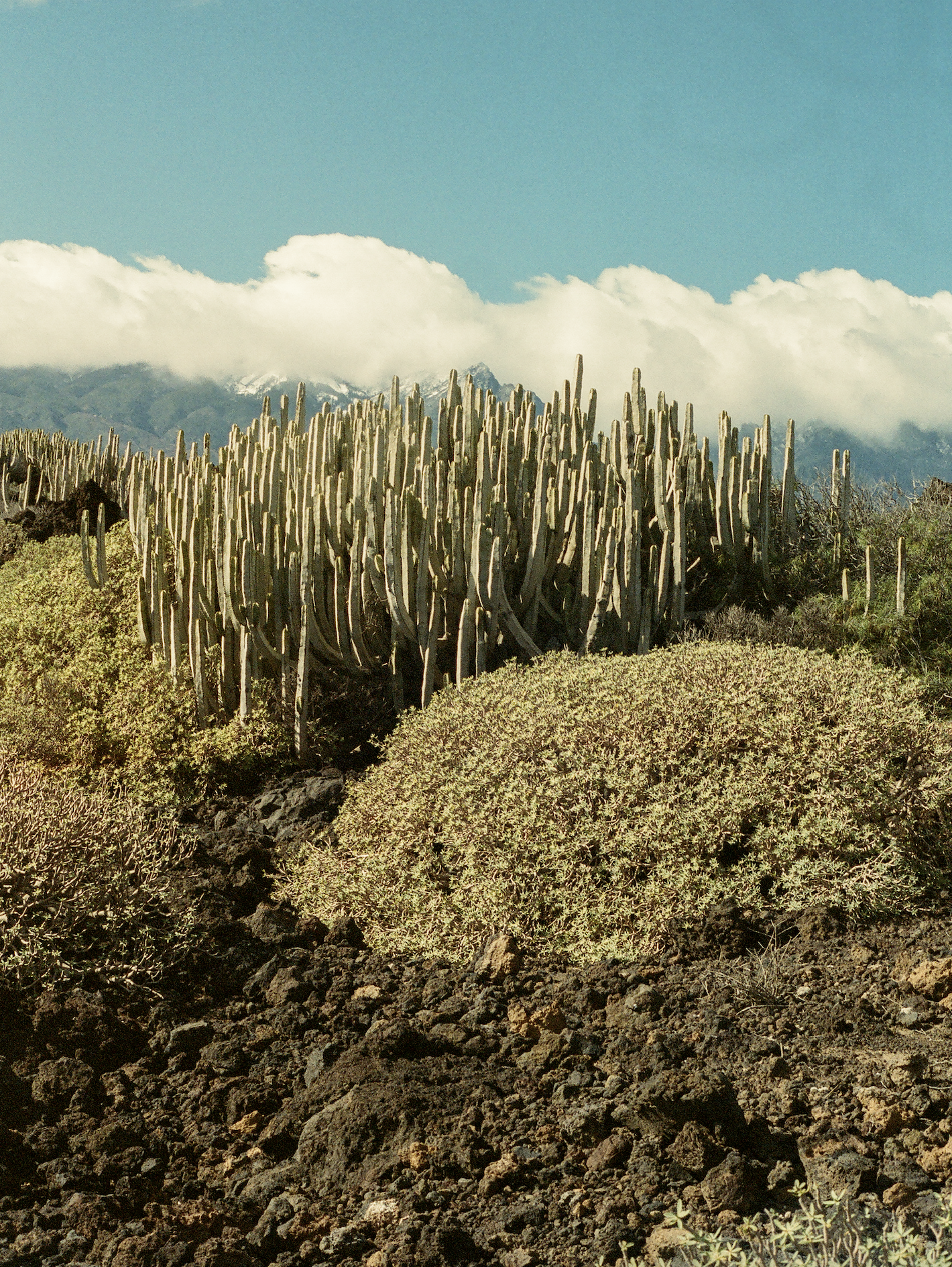 Screenshot 2026-01-14 at 15.08.35.png