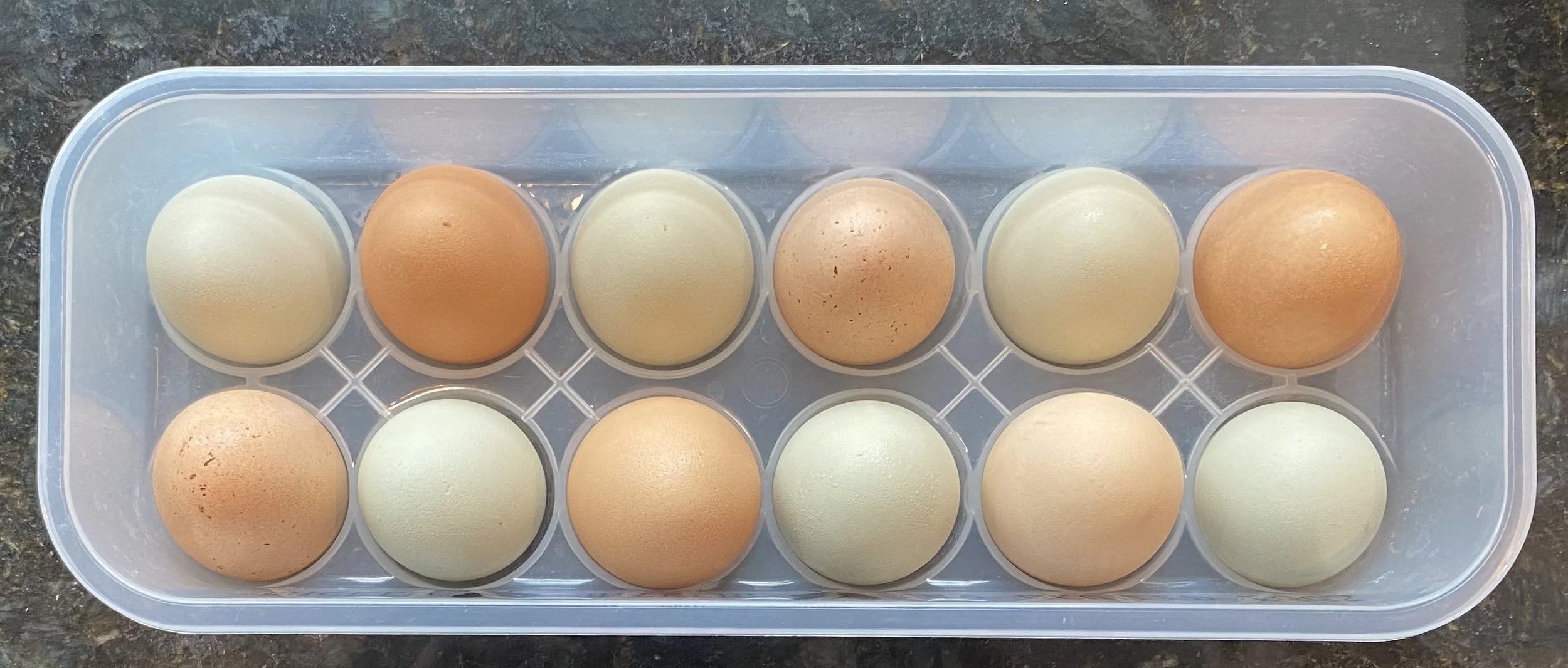 eggs doz cropped 1.jpg