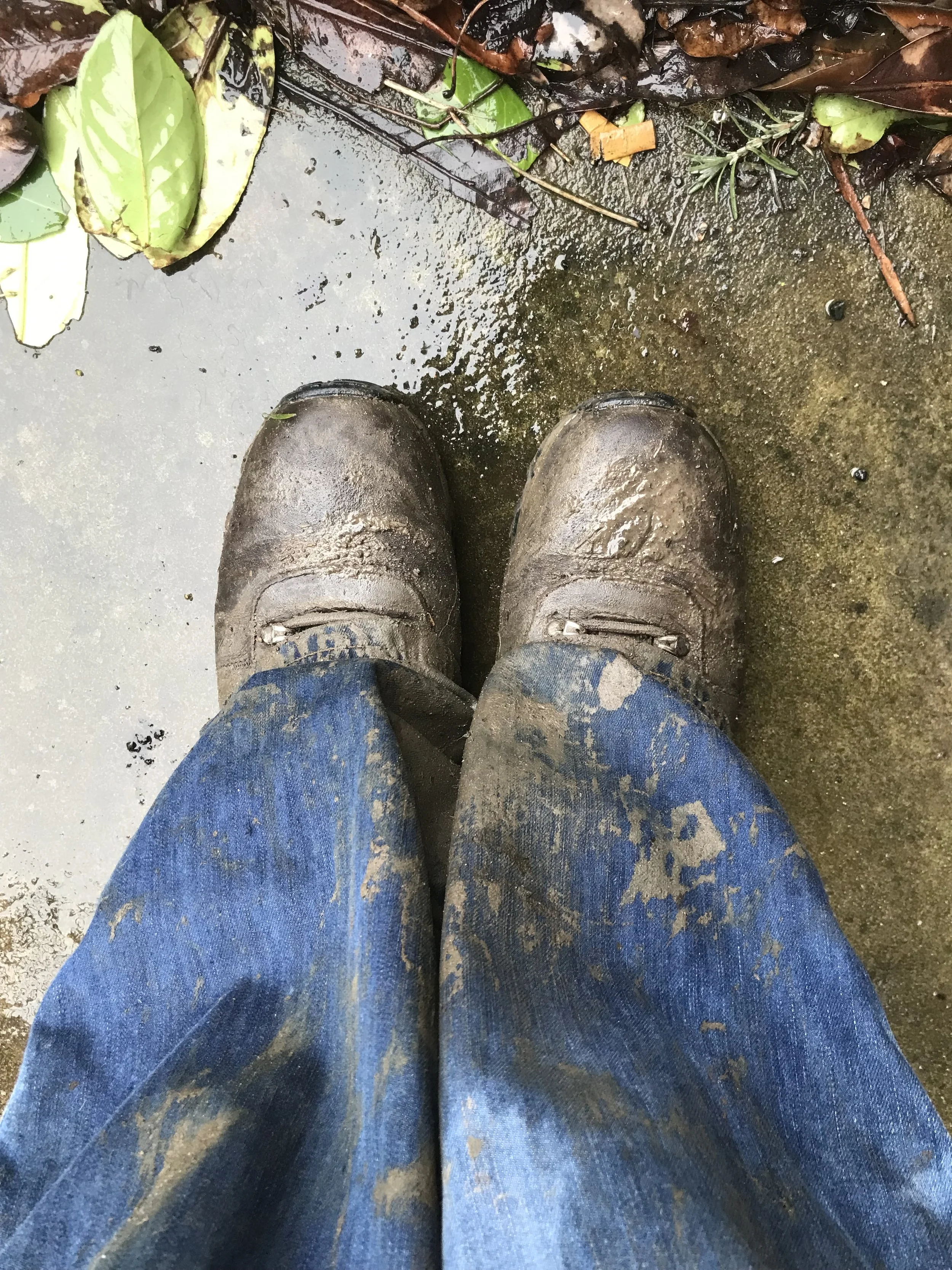 Embrace Your Inner Compass: How Connected Self-Leadership Can Transform Your Life