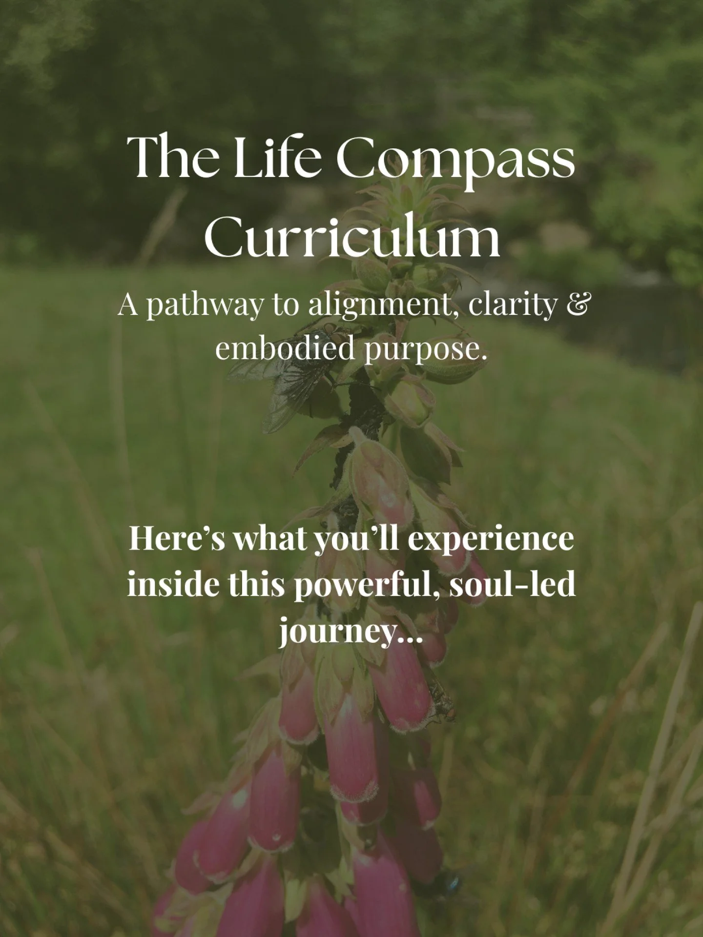There comes a moment when something inside you whispers… “I’m ready.”
Ready to stop circling the same patterns.
Ready to live with purpose and clarity.
Ready to trust yourself fully and create a life that truly reflects who