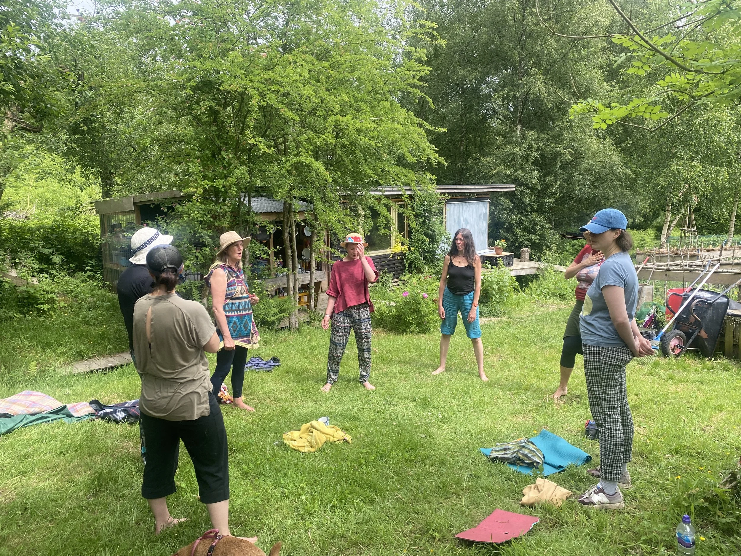 Wild Voice - Song and Connection Circle