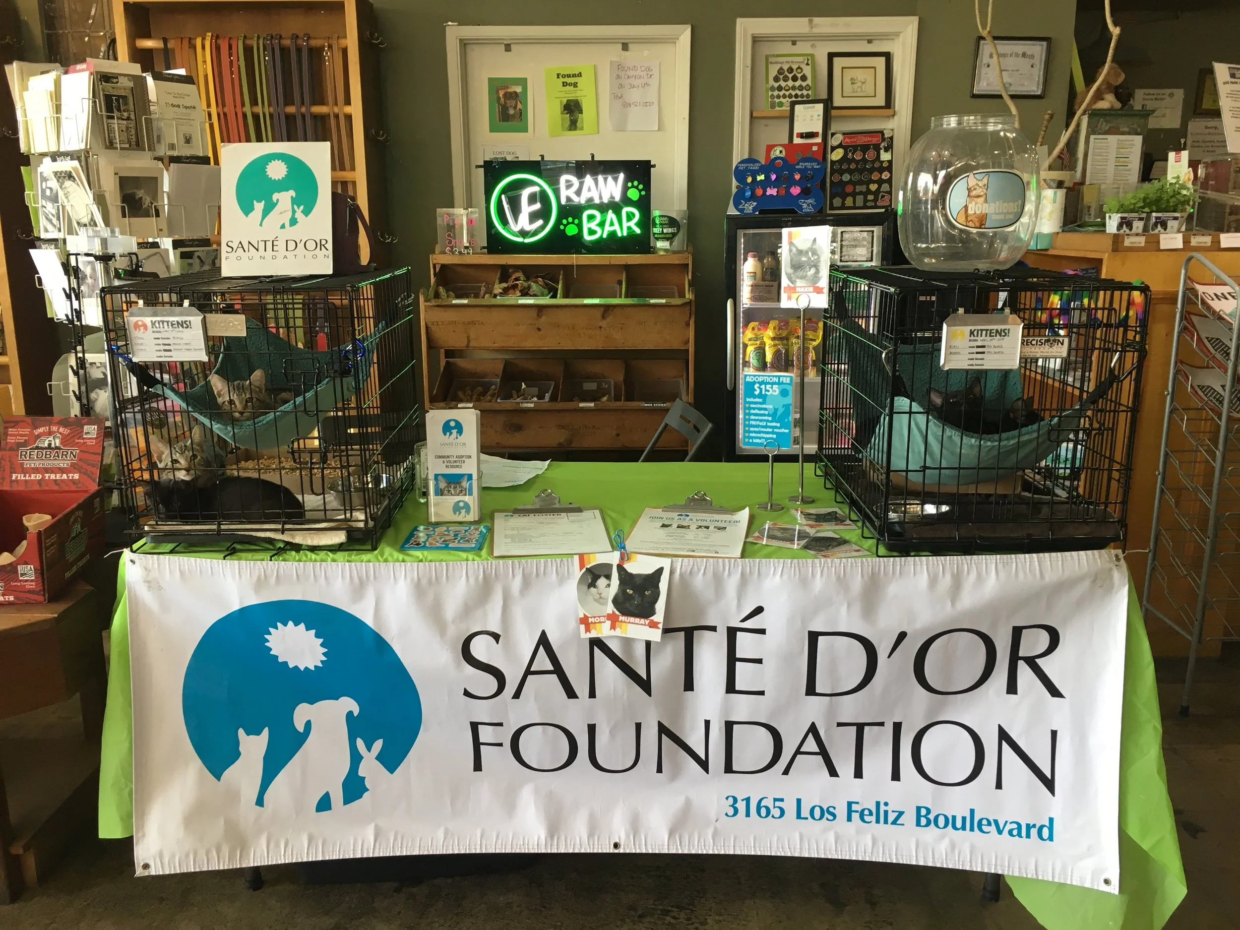 Santé D'Or Foundation - Pro-bono Event Work