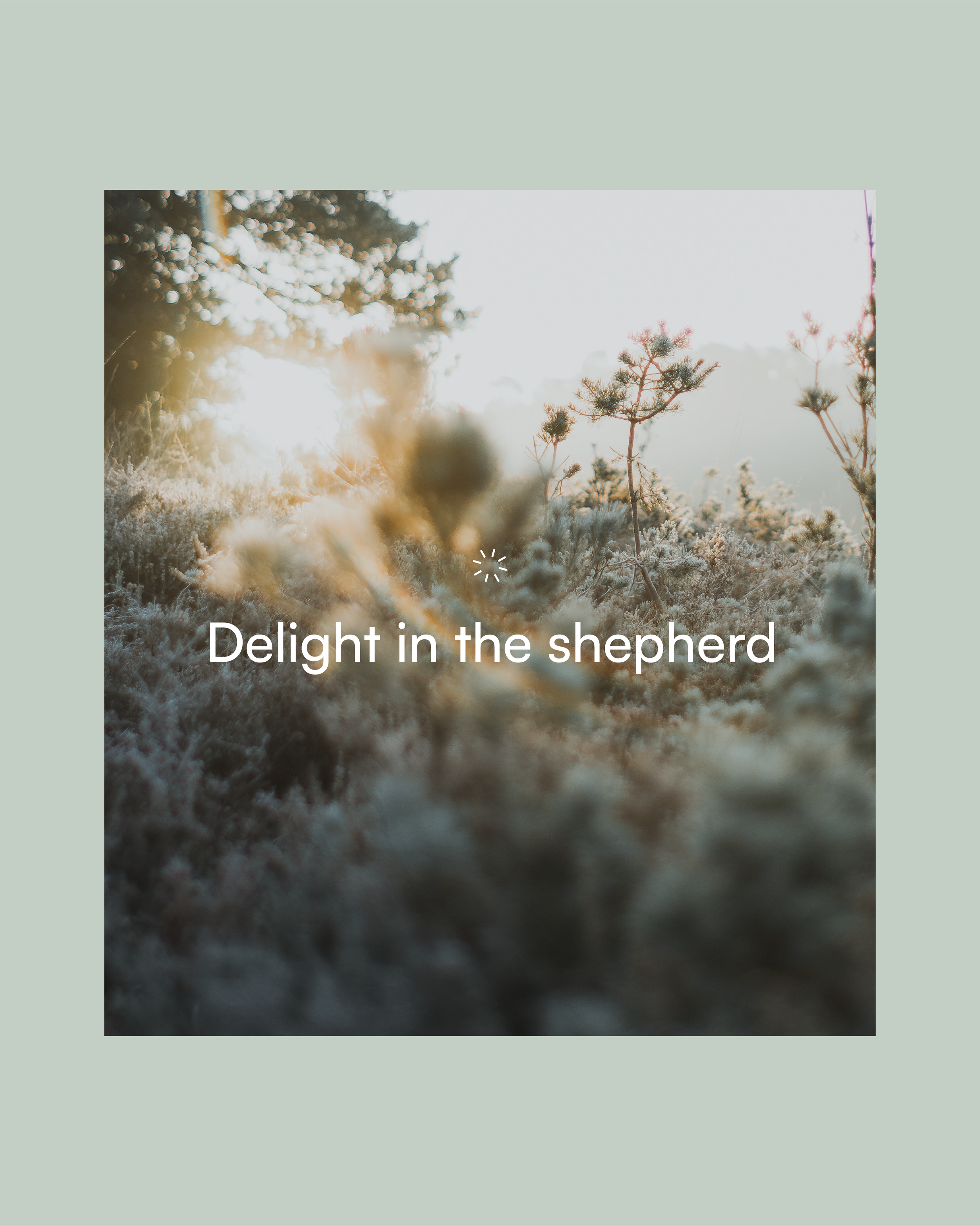 Delight-4.png