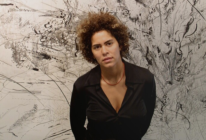 Julie Mehretu Art
