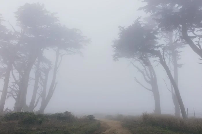 The History of Halloween