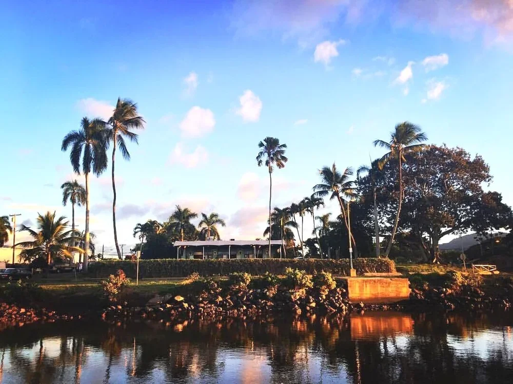 SURF | The North Shore of Oʻahu, Hawaiʻi