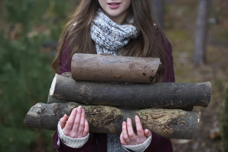 The Art & Science of Firewood