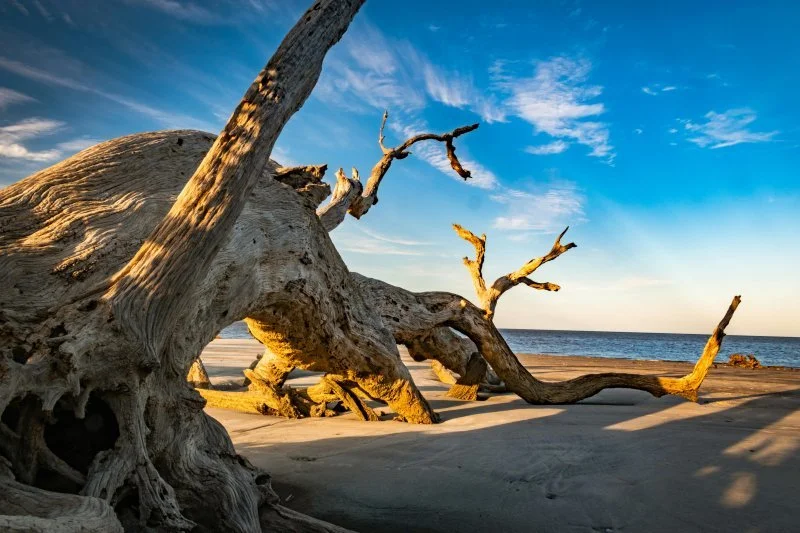 Jekyll Island, Georgia and the Secret Meeting of 1910