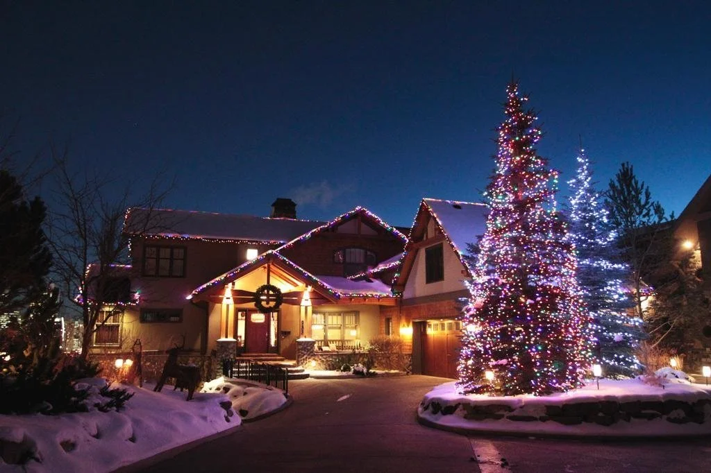 c6+led+multi+on+house+and+c6+led+multi+and+icy+white+on+spruce+tree+.jpg