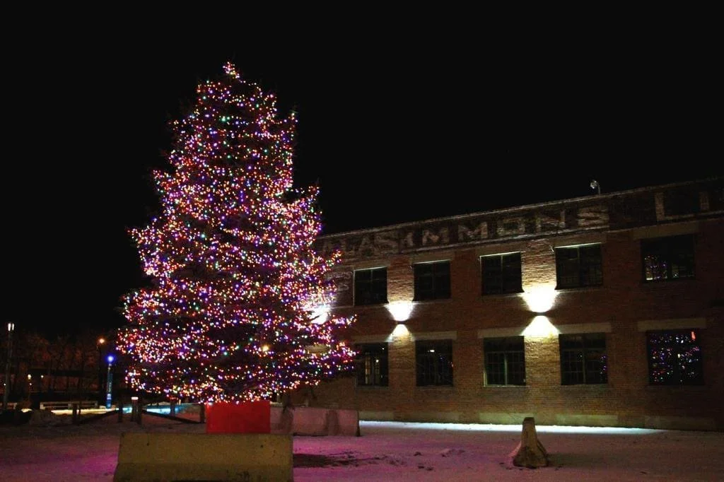 c6+led+multi+on+spruce+tree.jpg