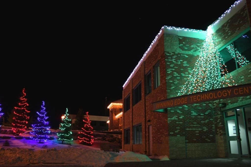Commercial Christmas light installation in Calgary with multi-colour tree lighting and roofline lights on building