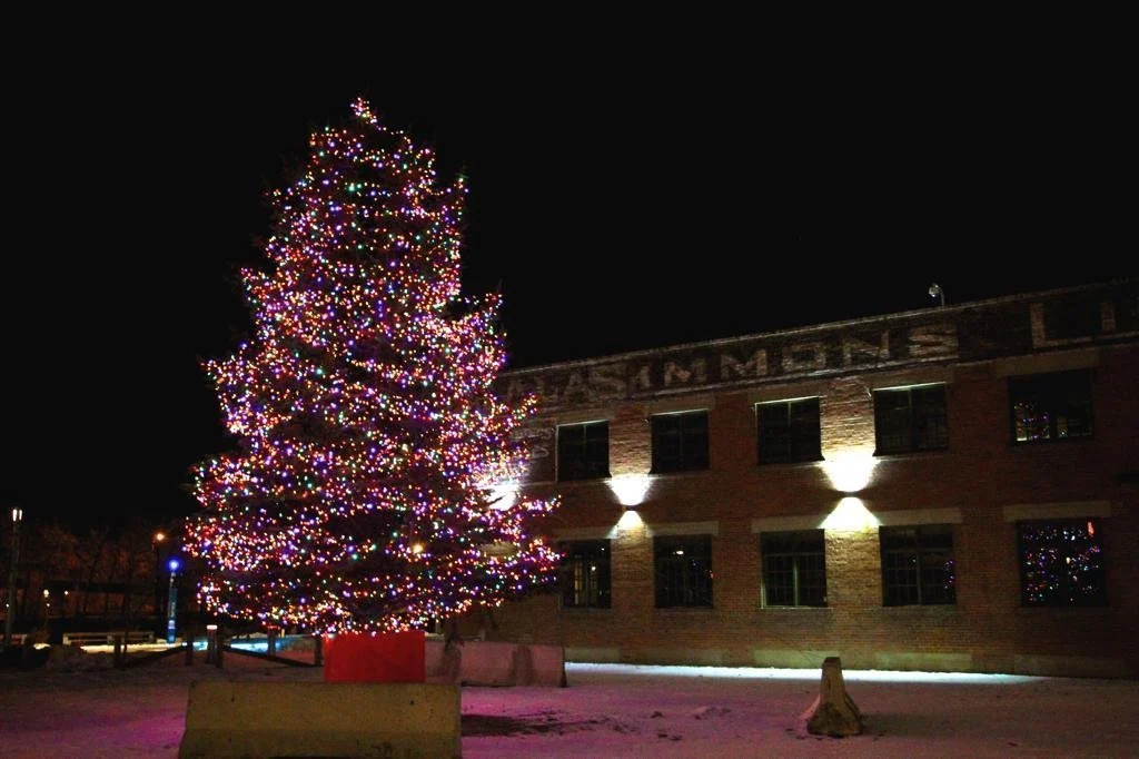 Commercial Christmas lighting installation in Calgary showcasing a large feature tree wrapped in C6 multi-colour lights