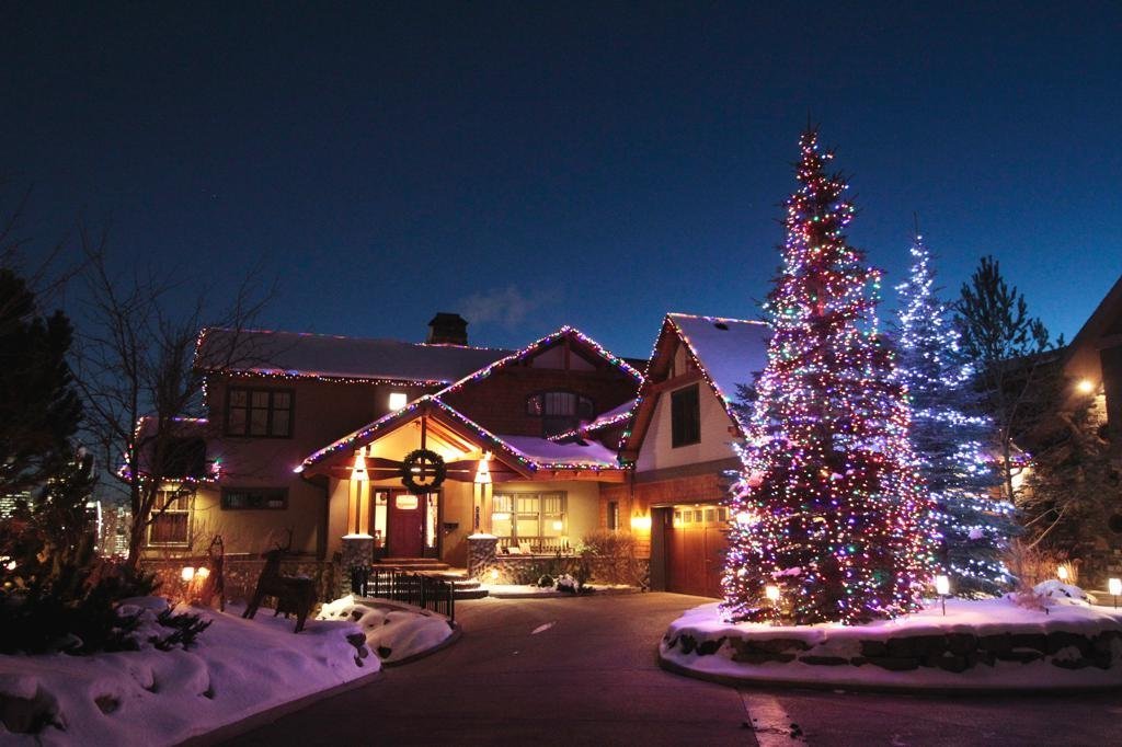 c6+led+multi+on+house+and+c6+led+multi+and+icy+white+on+spruce+tree+.jpg