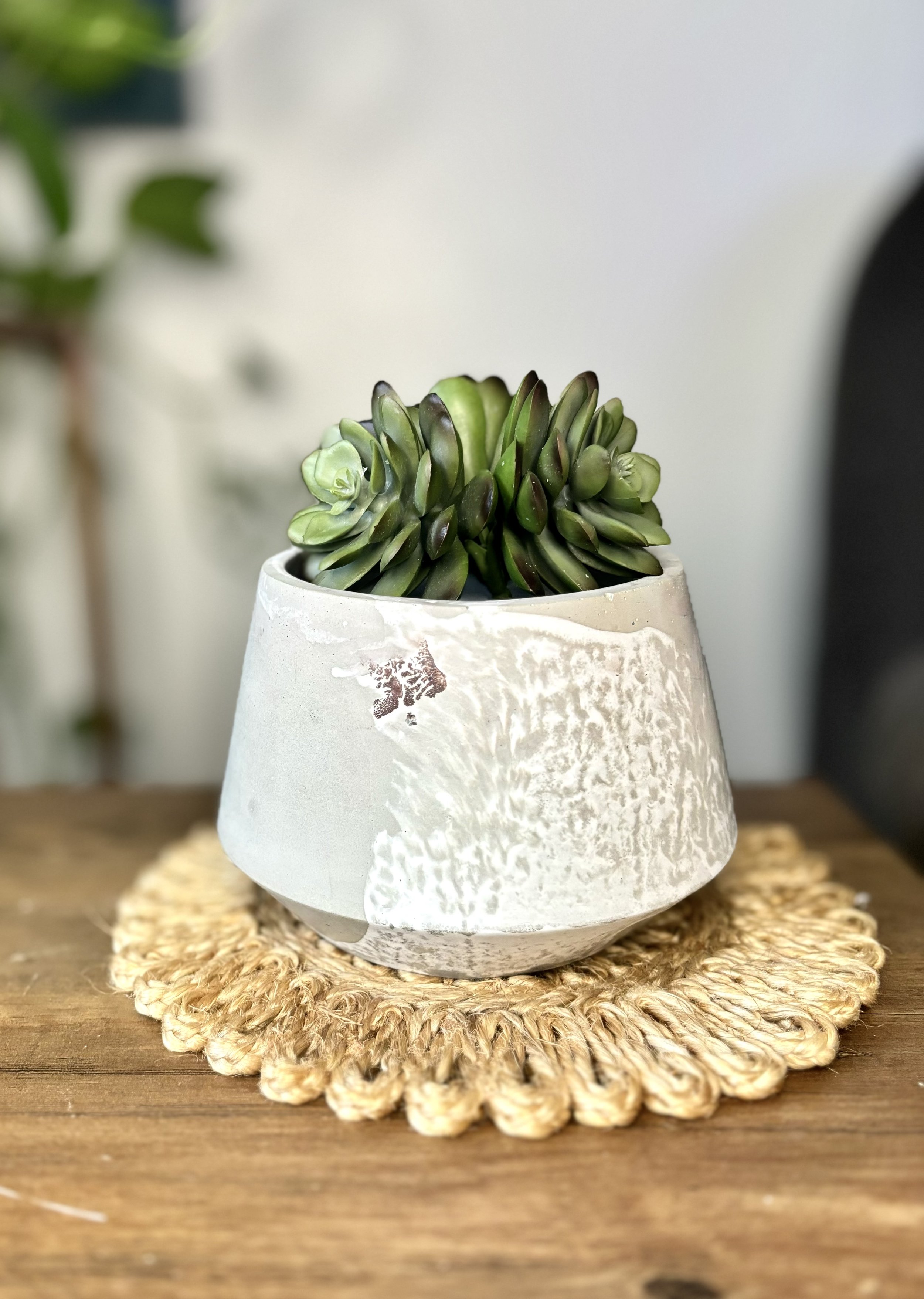 Concrete Planter - Gray/White