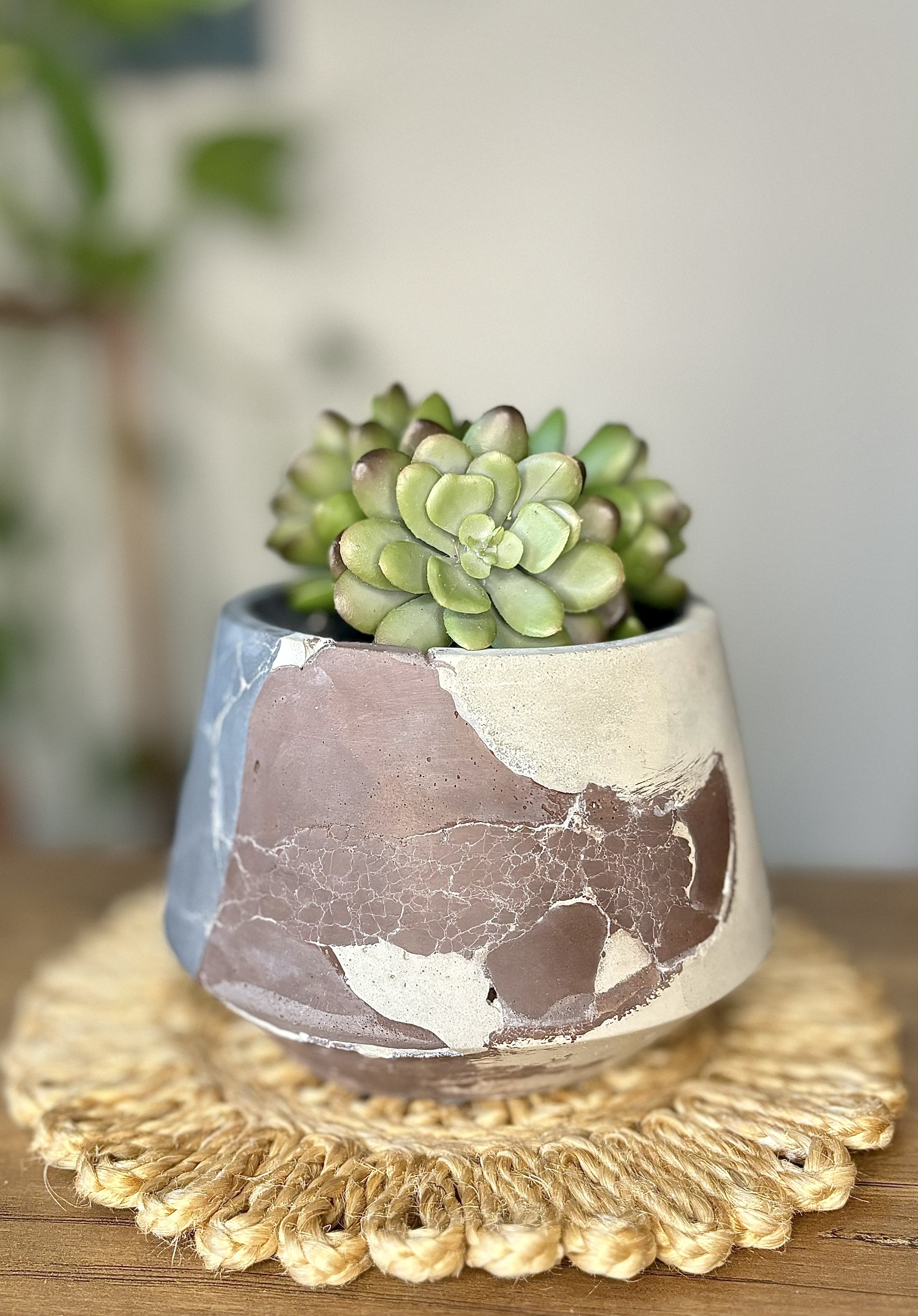 Concrete Planter - Betty Brown