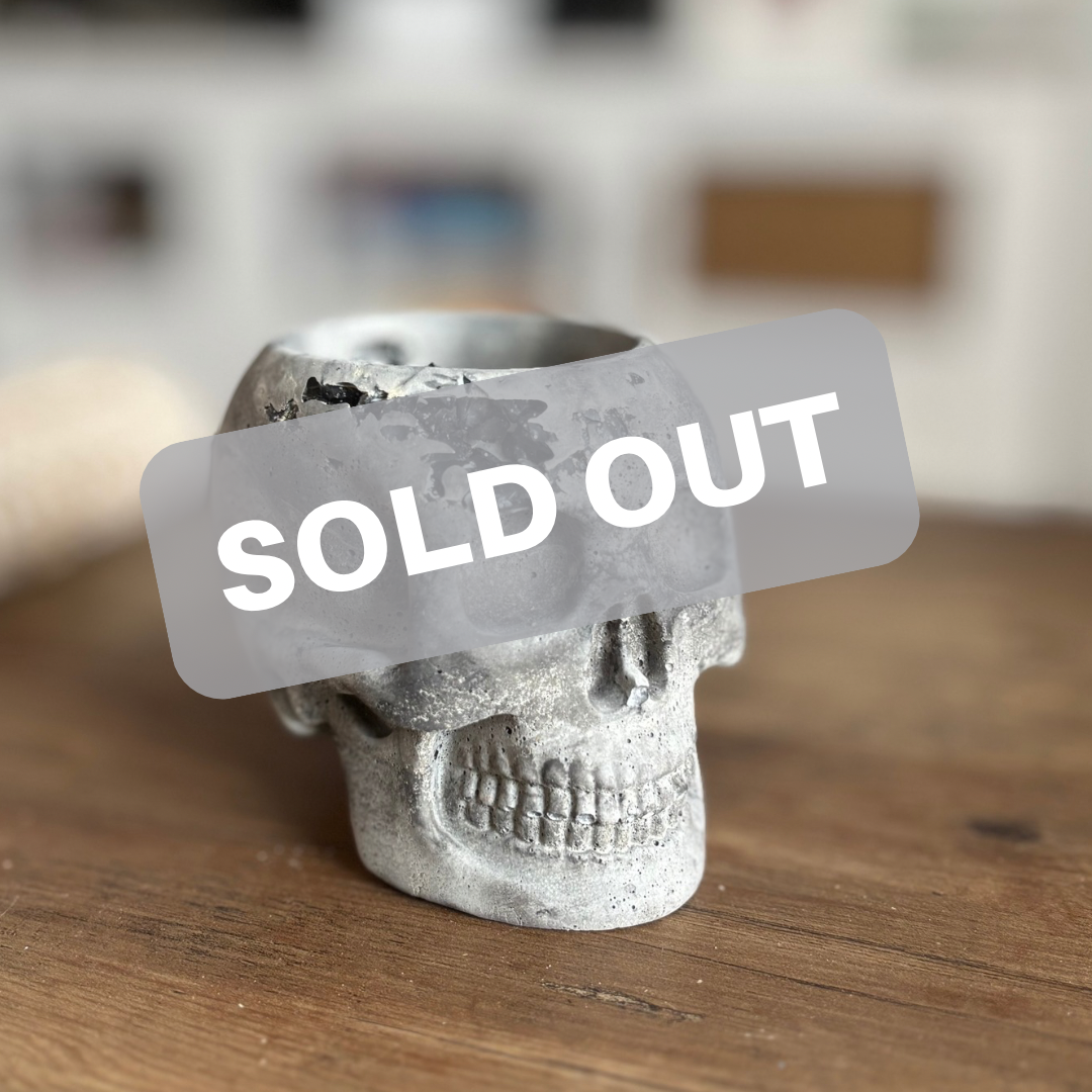 SOLD- Concrete Skull Planter -CRUSHED GLASS GRAY
