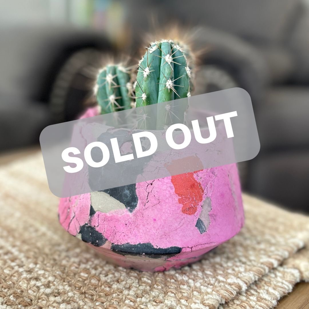 Red Modern Sold Out Sandwich Instagram Post.jpg