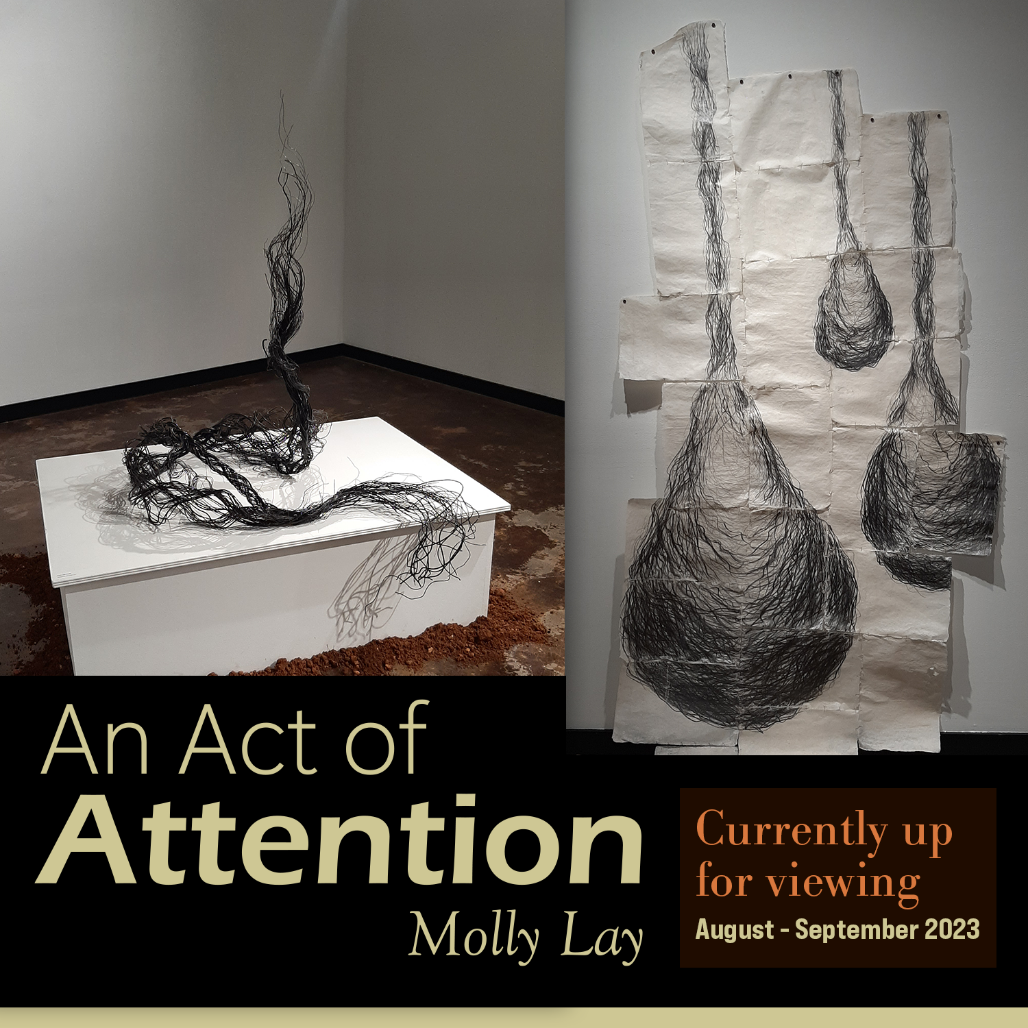 MollyLay_Post.png