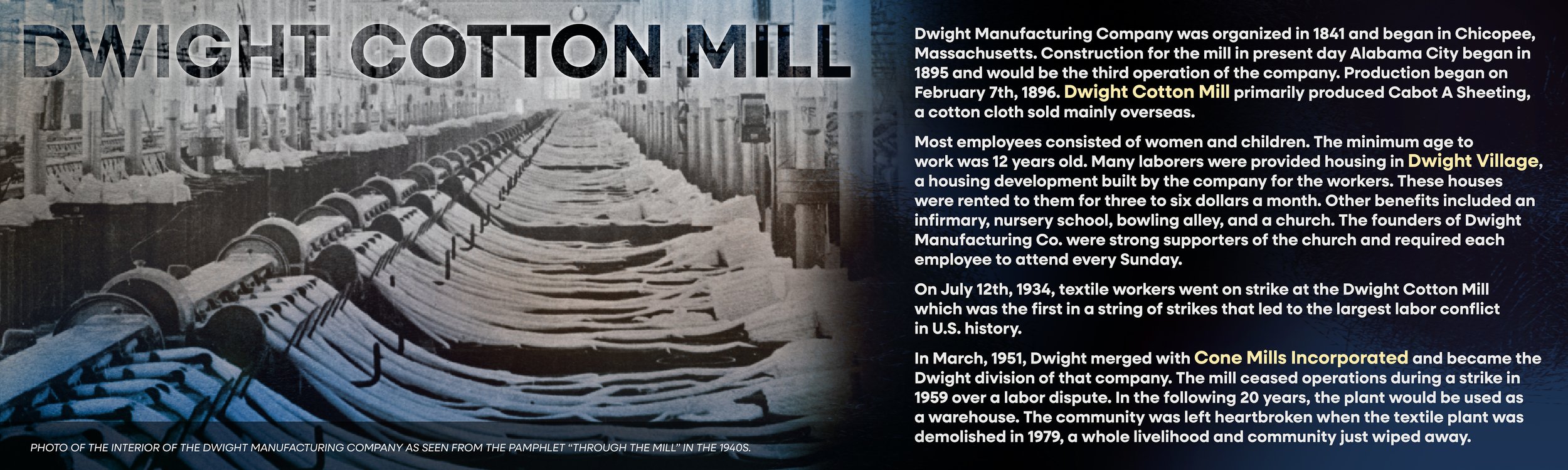 DwightCottonMill_Panel_40x12in.jpg