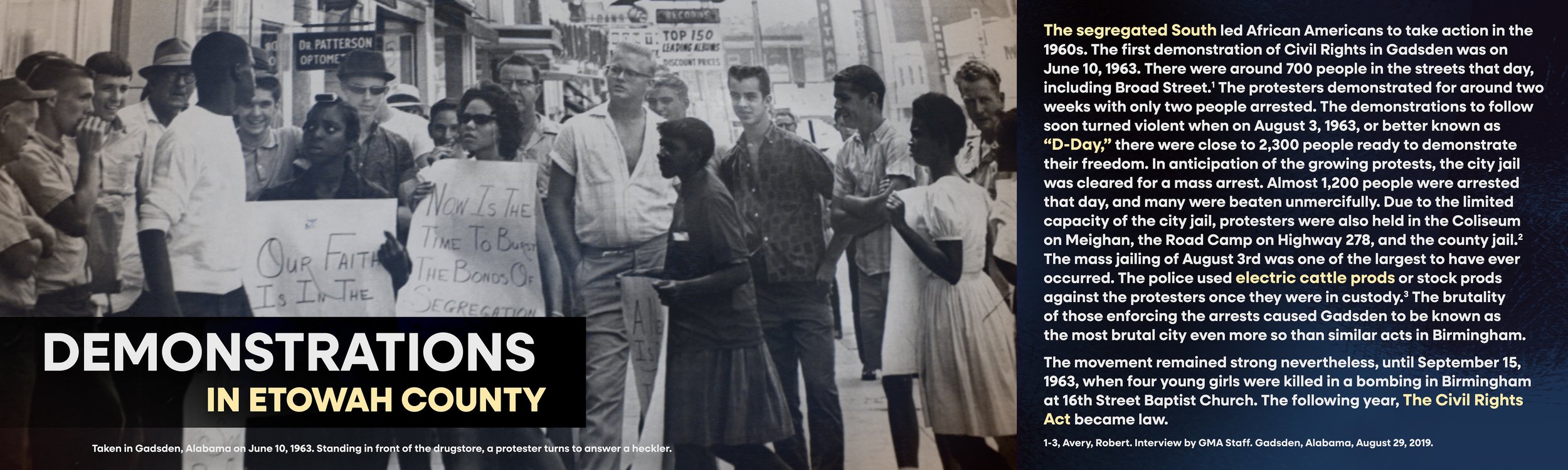 DEMONSTRATIONS_Panel_40x12in.jpg