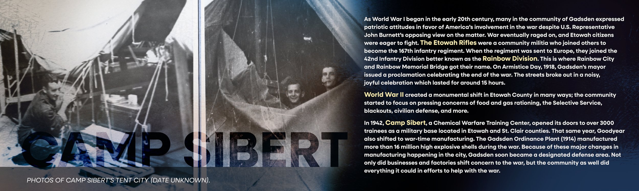 CampSibert_Panel_40x12in.jpg
