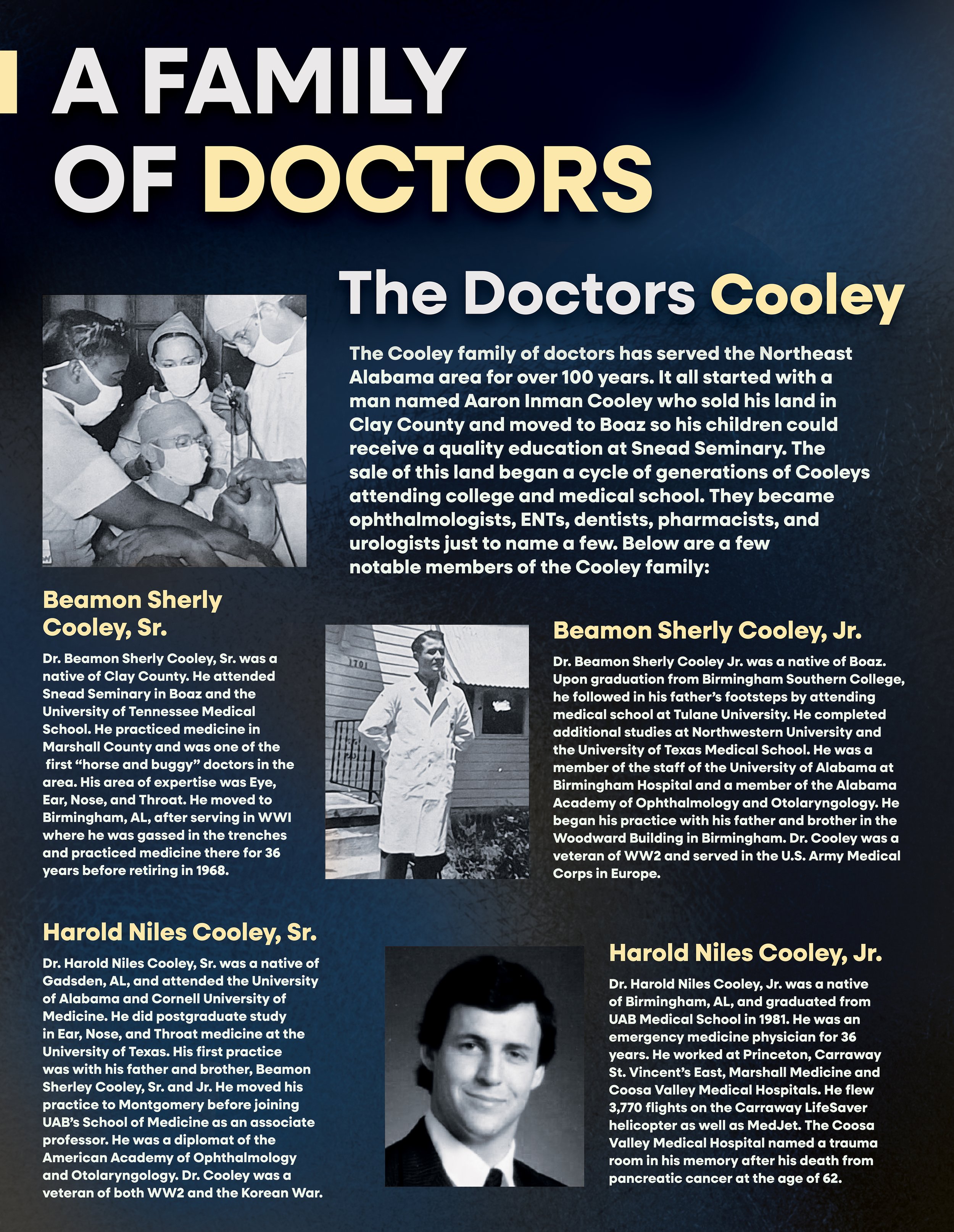 Cooley_Panel_24Wx31H.jpg