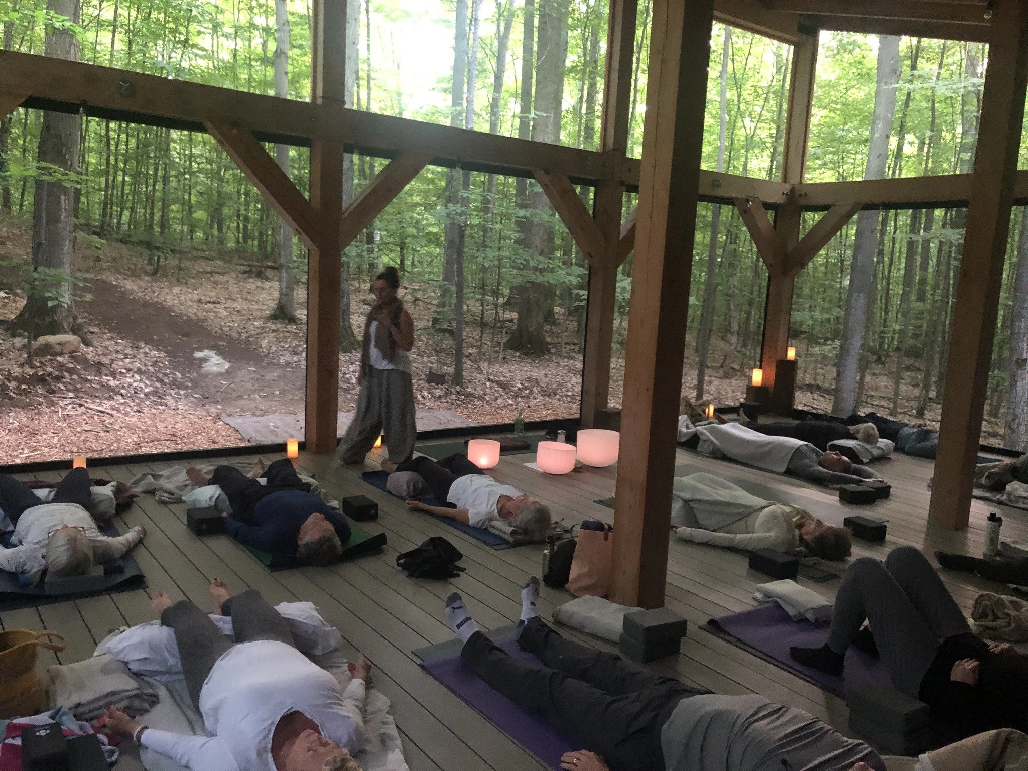 Forest Plank Restorative Soundscape