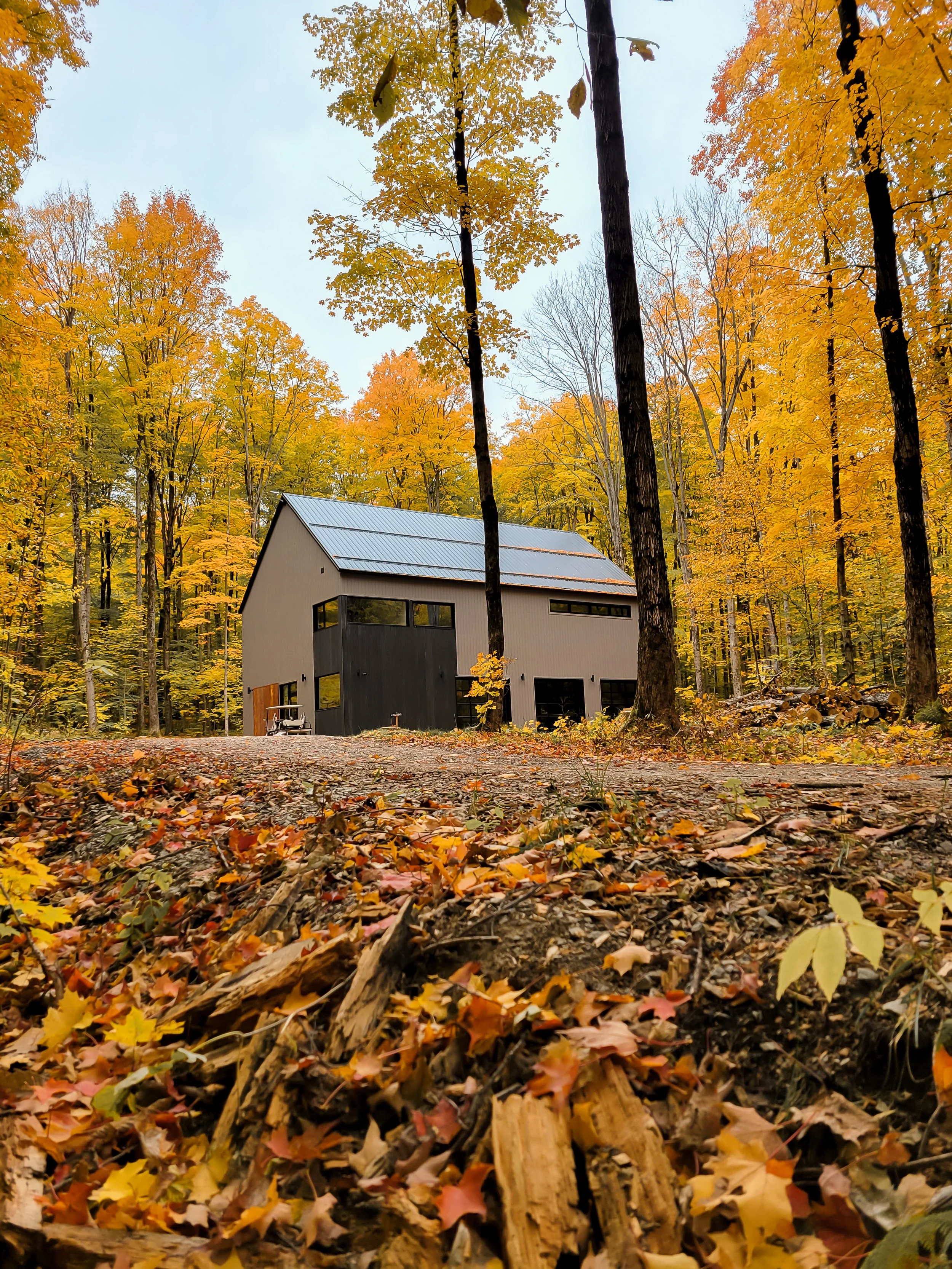 Rooted in Remembrance: Fall Retreat For Grief