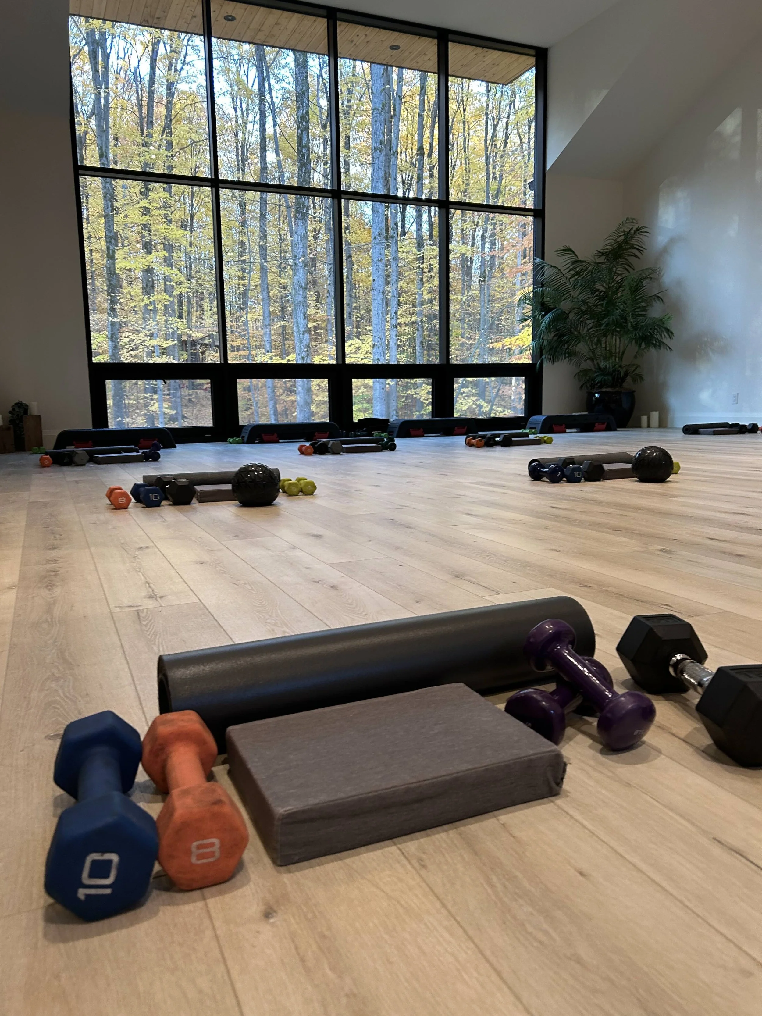 Functional Movement (Balance & Strength) Fitness Class (8 week session)
