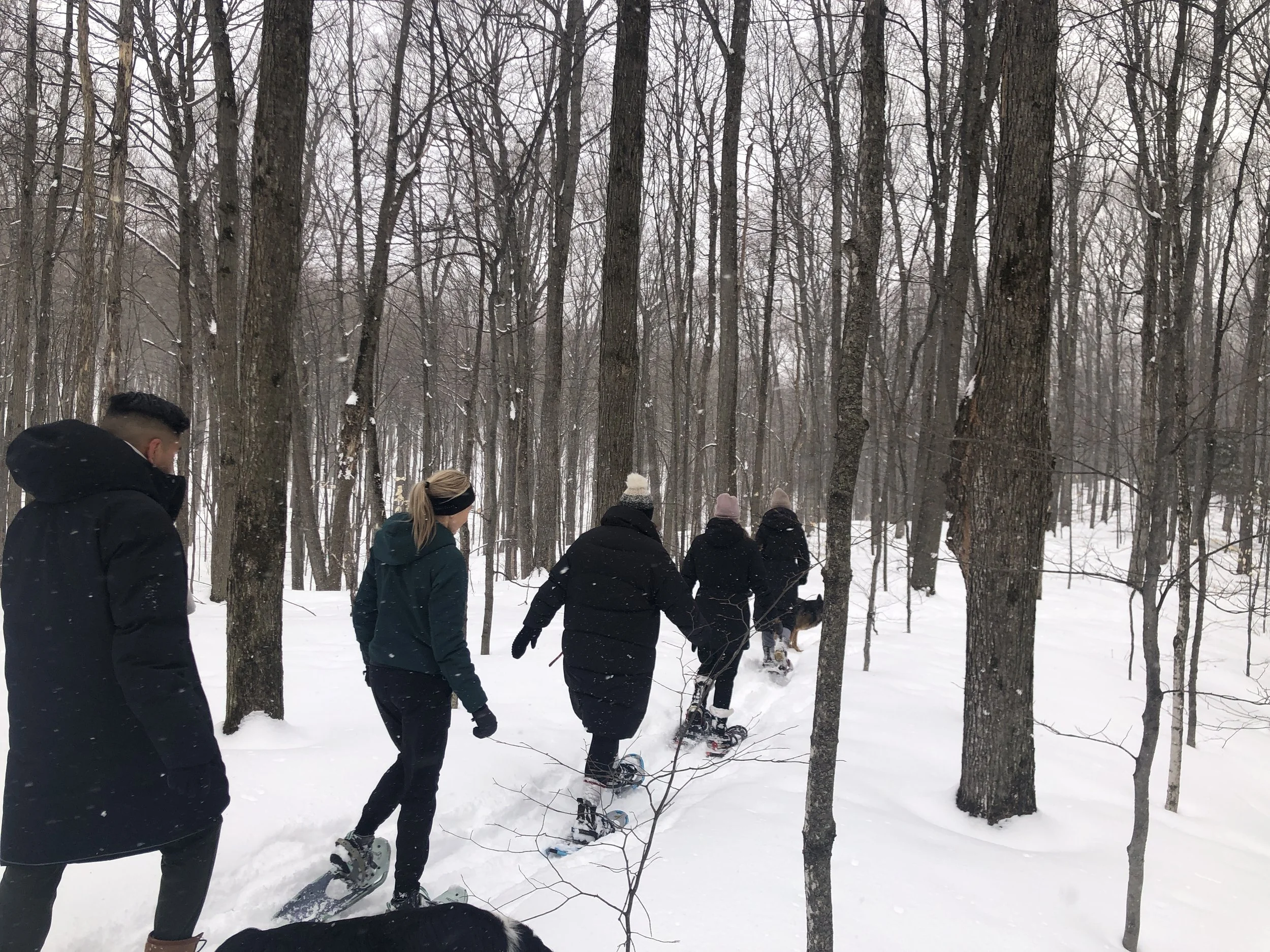 Afternoon Mini Retreat