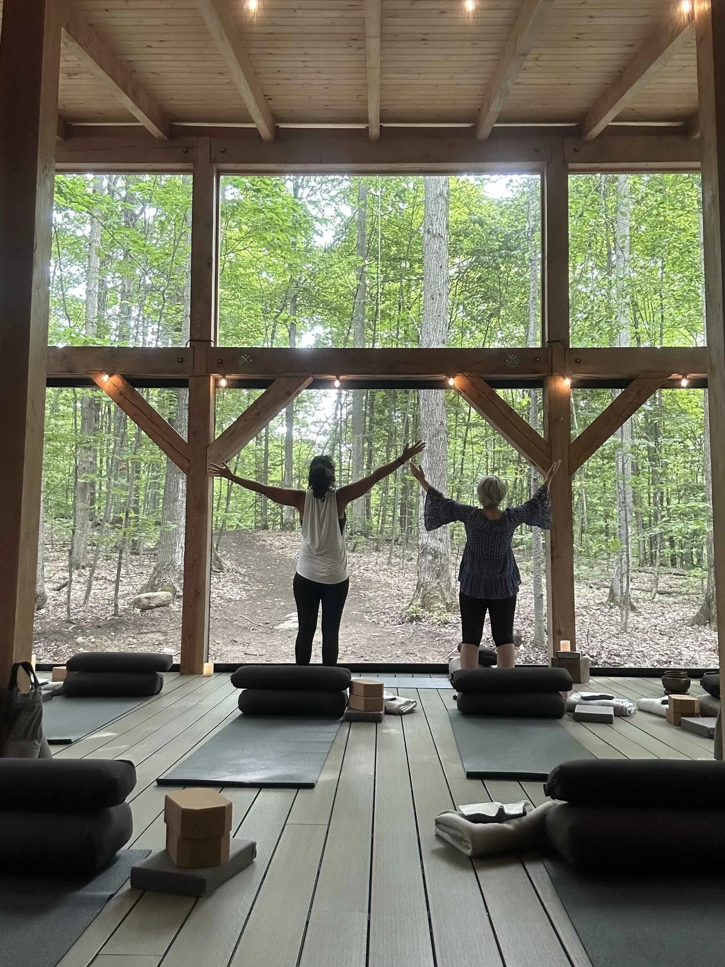 Forest Plank Restorative Soundscape 