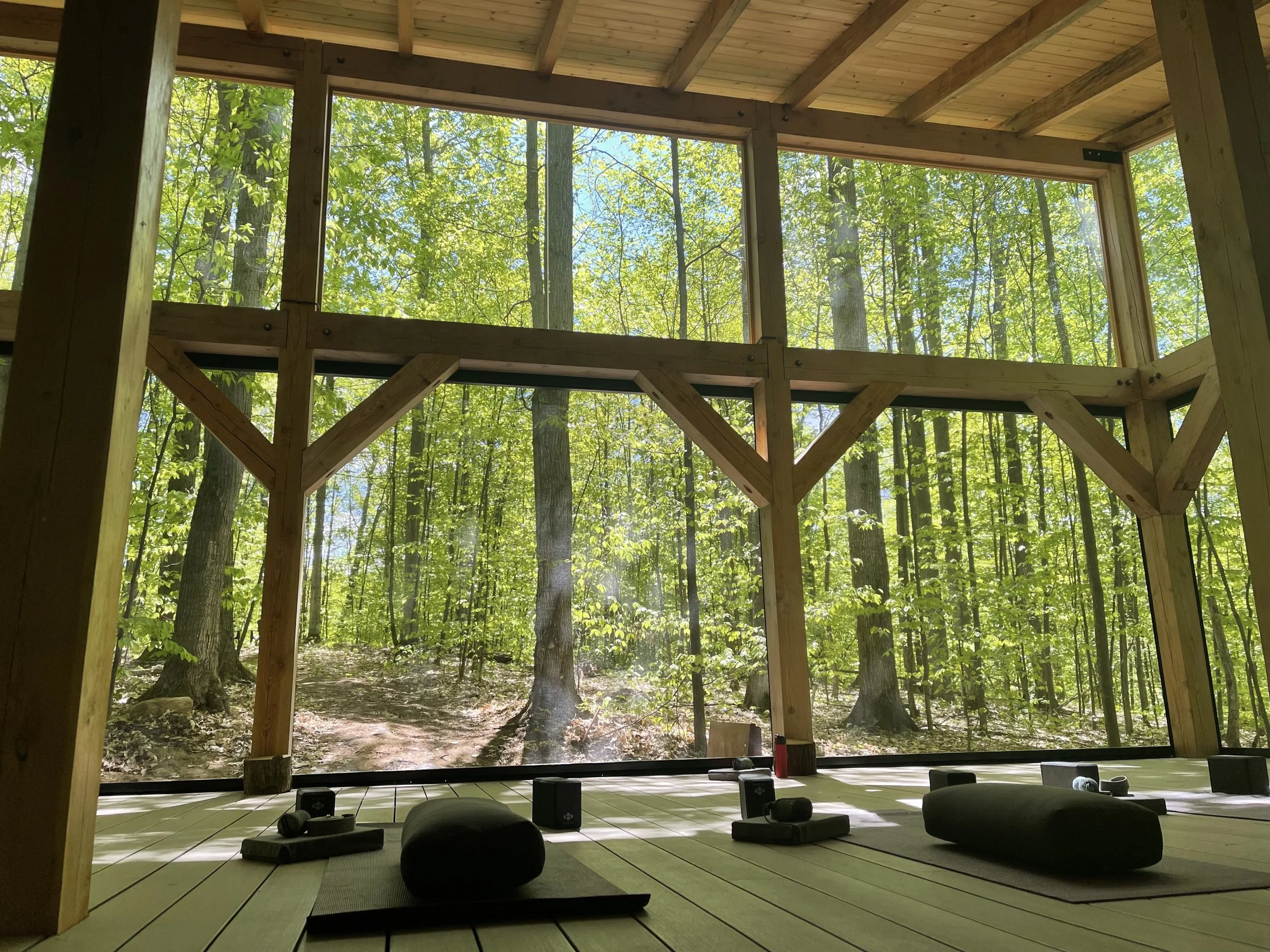 Forest Plank Restorative Soundscape 