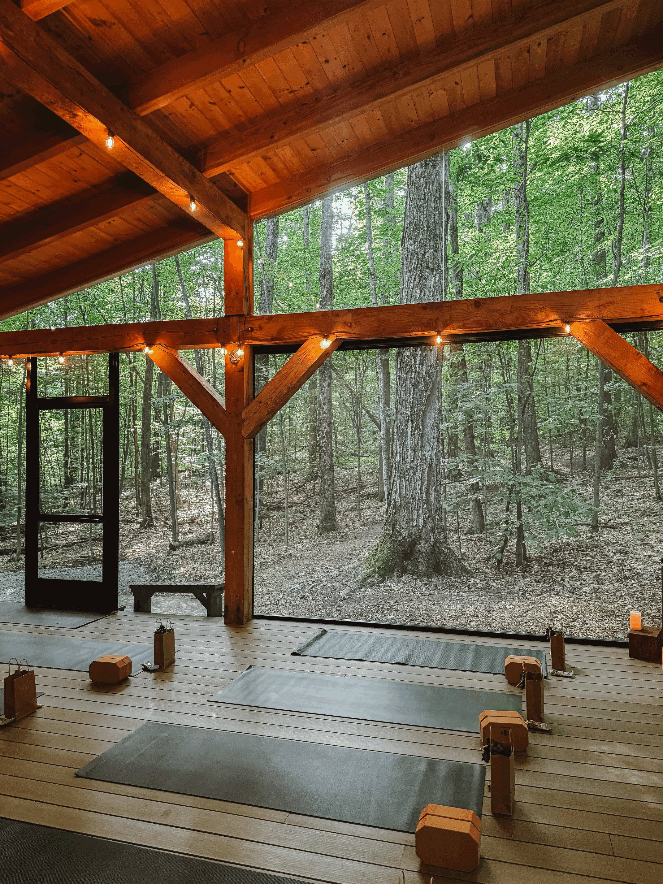 Forest Plank Restorative Soundscape 