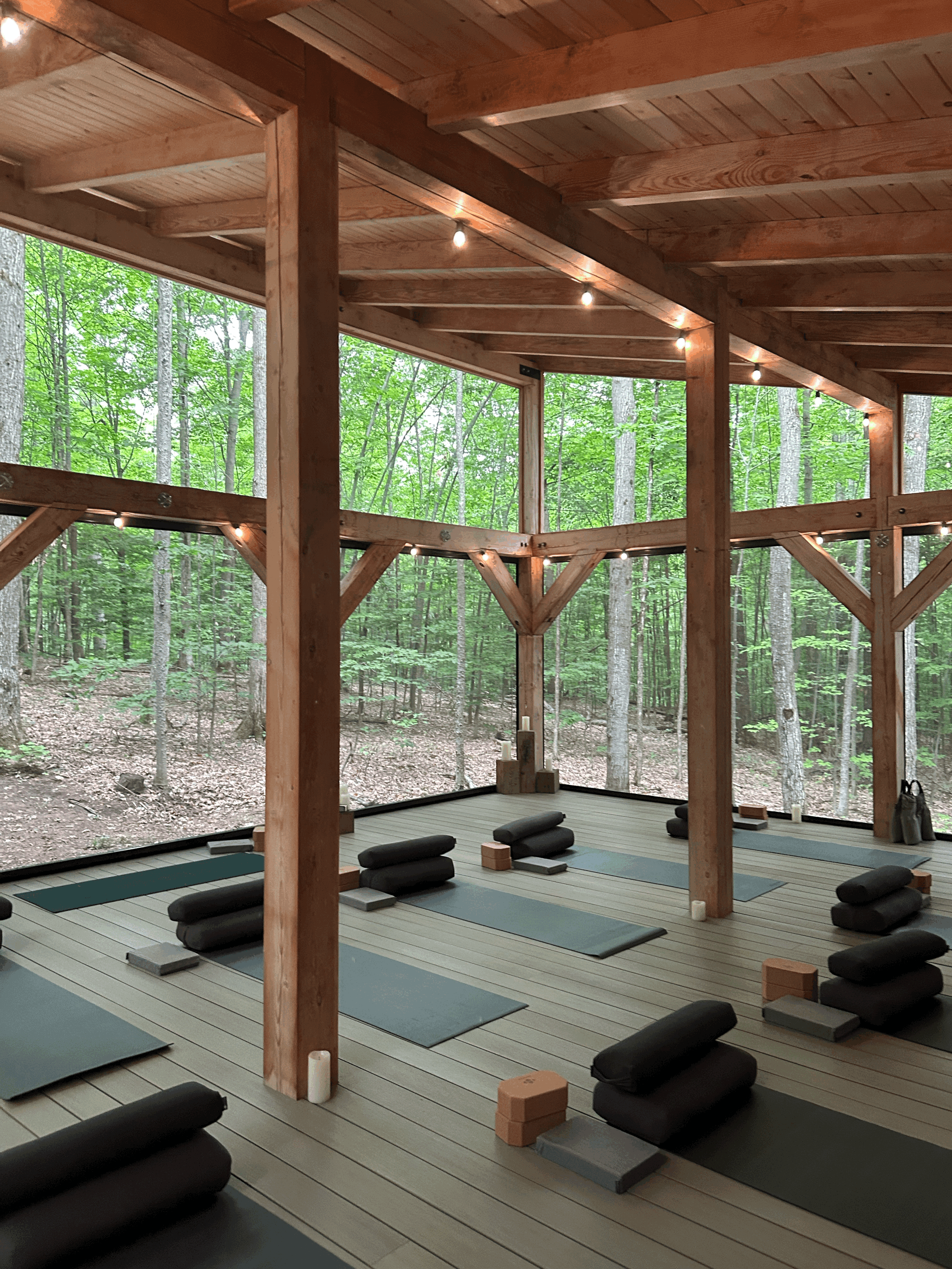 Forest Plank Restorative Soundscape 